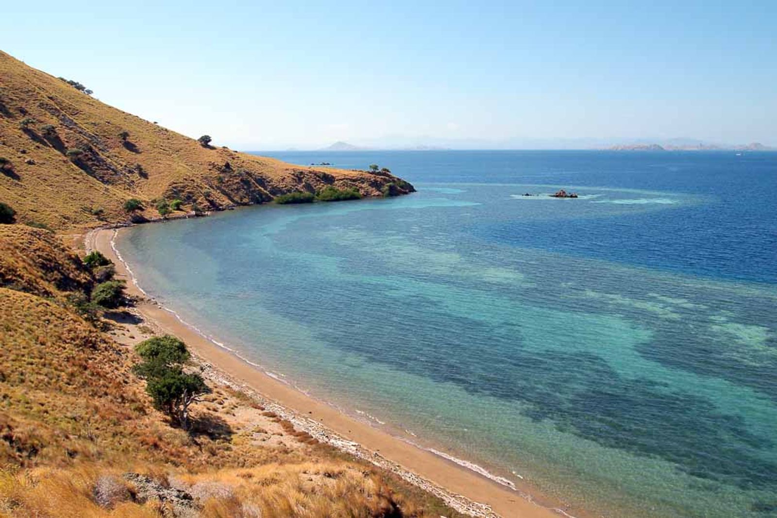 The Last Paradise