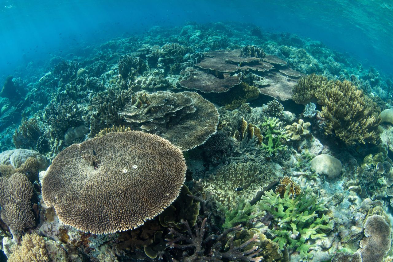 Open Sea Atolls