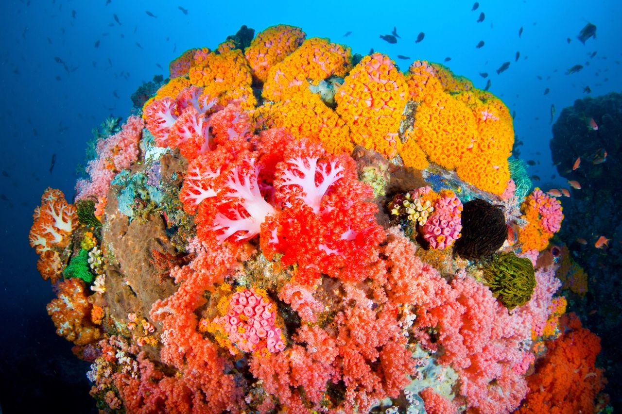 Bunaken Island