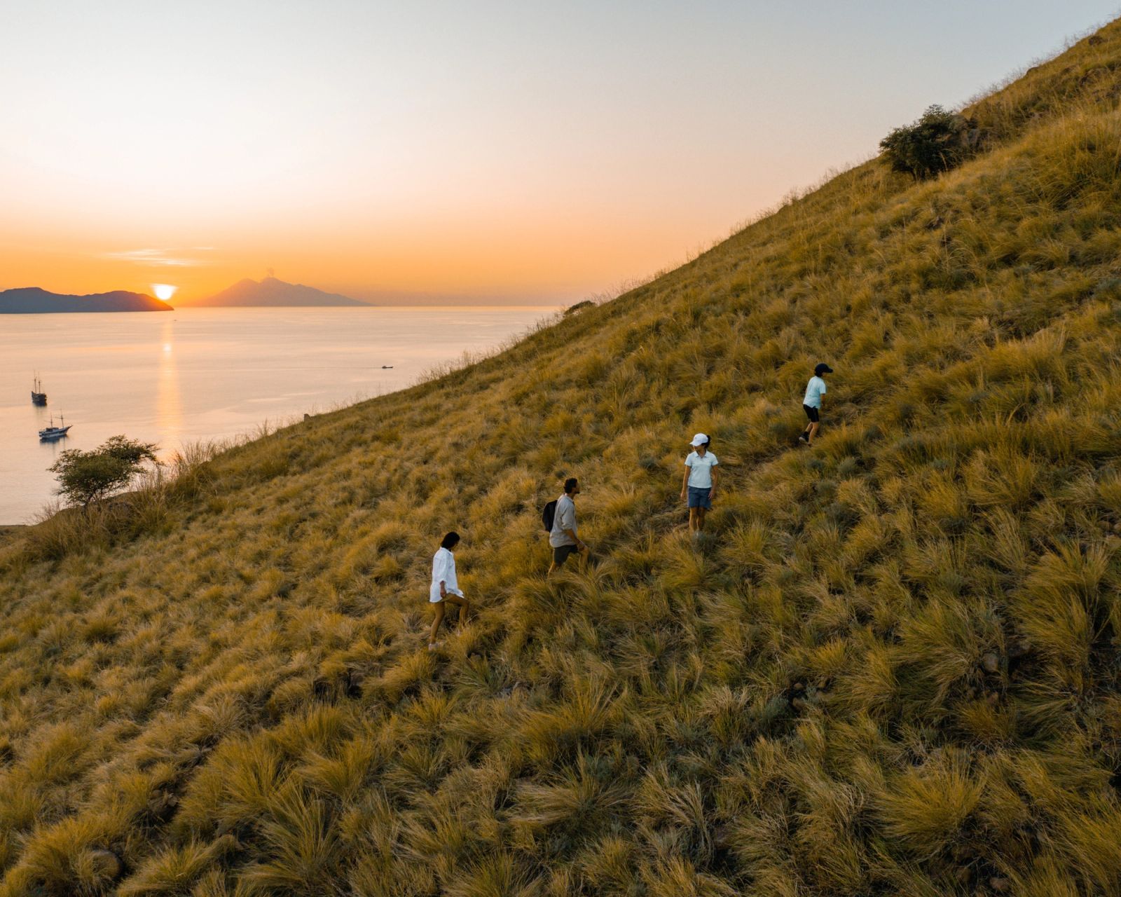 Guests hiking down a steep grassy hillside above the sea.