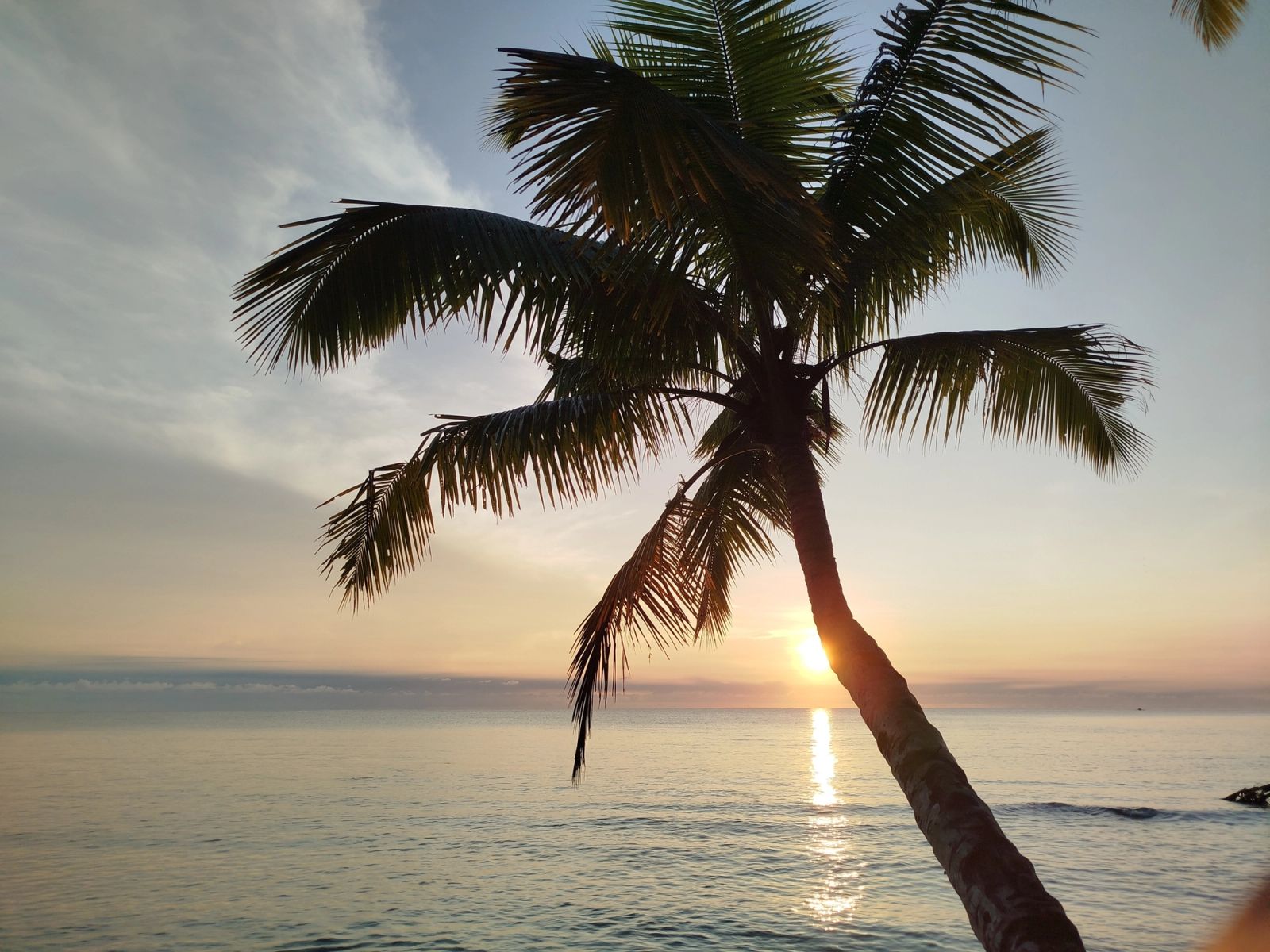 Sunset behind a leaning palm on the south coast of the Mentawai chain.