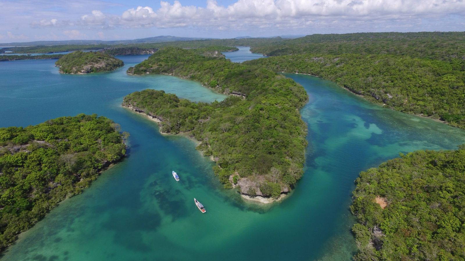 The channels of Mulut Seribu, the thousand mouths of Rote's coast.