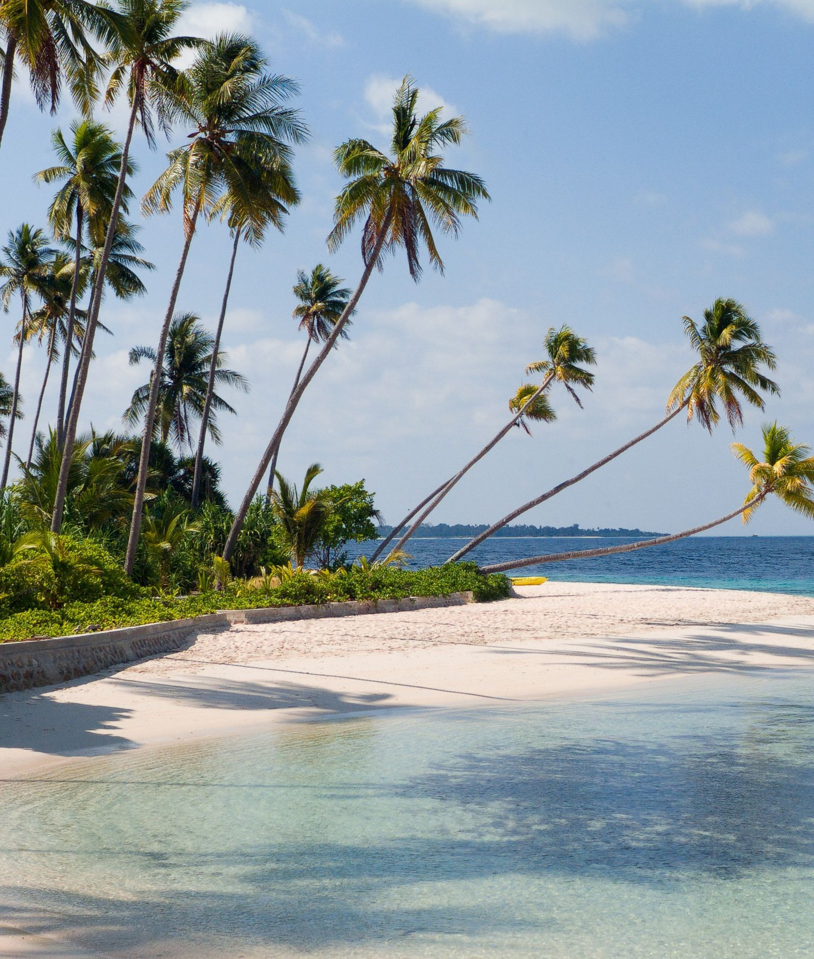 A coral garden alive with fish in Wakatobi