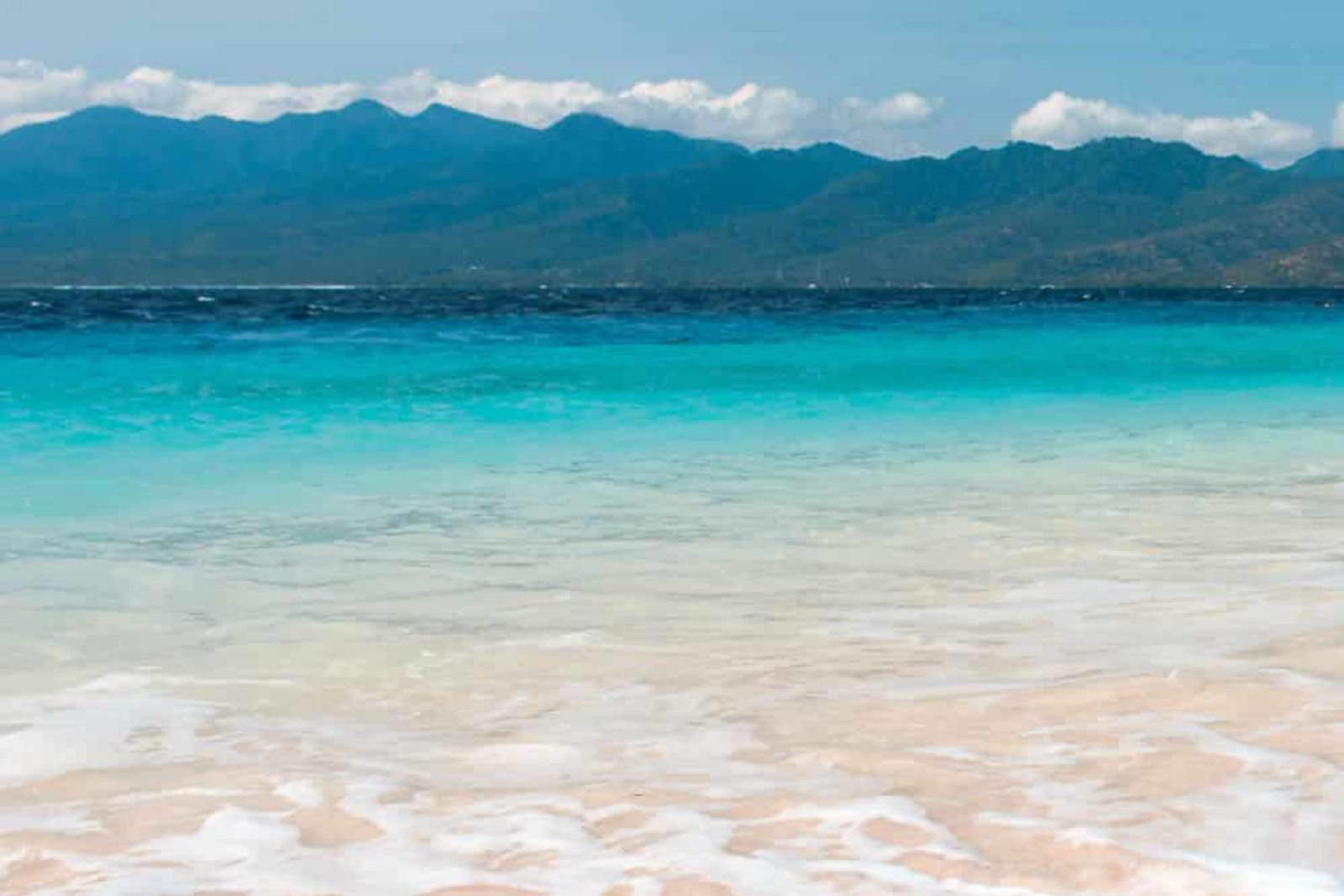 Makassar Reef Mantas