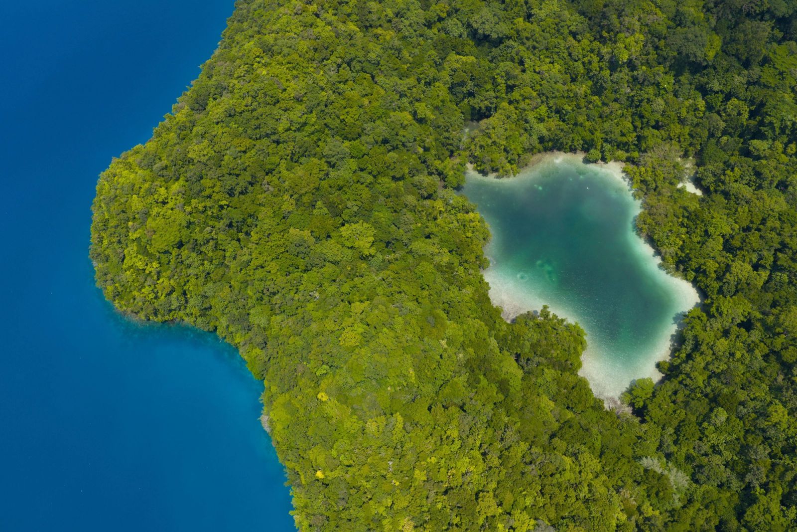Satellite view of Palau, Micronesia, north island of Kayangel island, uninhabited atoll. Crystalline, transparent and limpid seabed. Tropical islands. Element of this image is furnished by Nasa