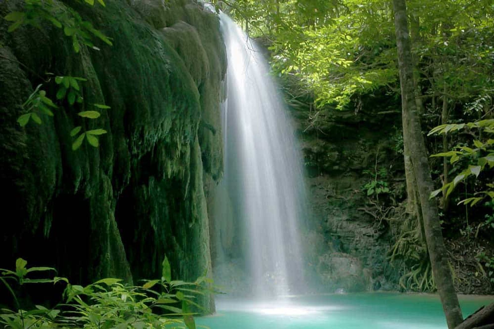 Cruising, Return to Bali