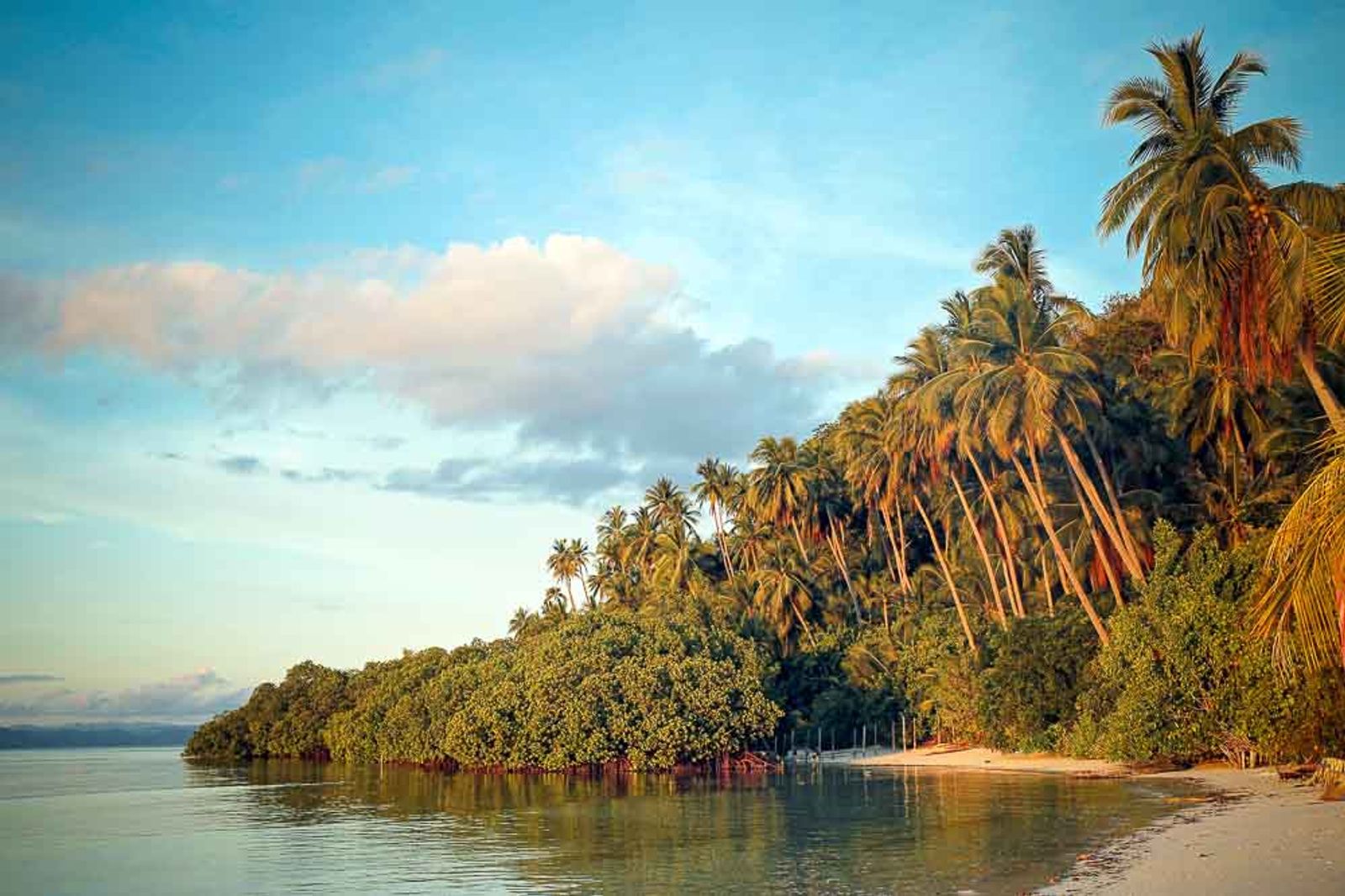 The Spice Islands