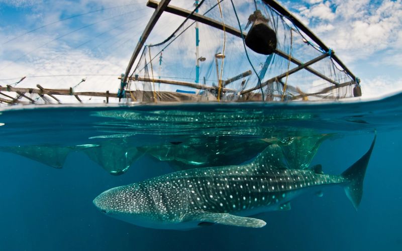 Best Snorkeling Destinations