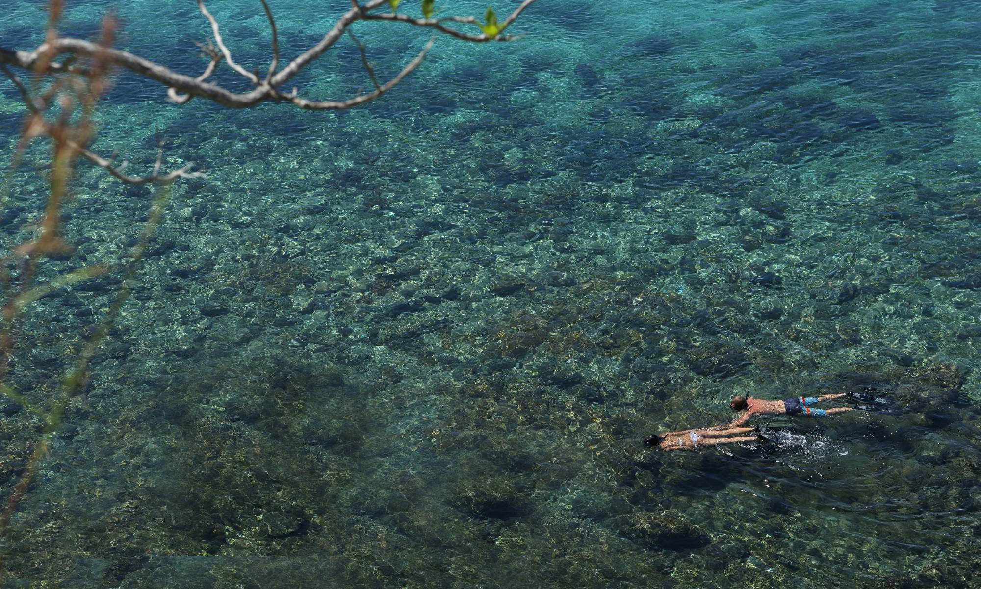 Two snorkelers glide over a clear shallow reef, seen from above