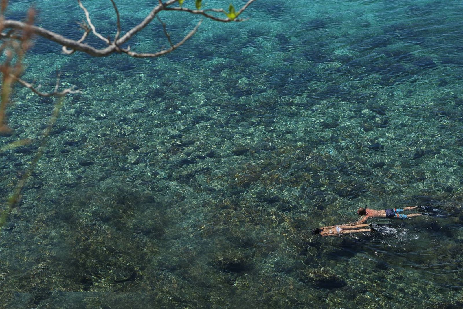 Two snorkelers glide over a clear shallow reef, seen from above