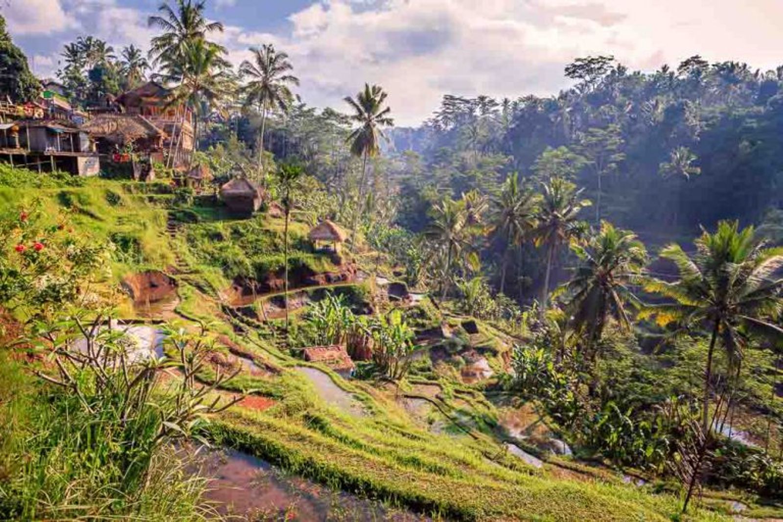 Nihi Sumba Expedition