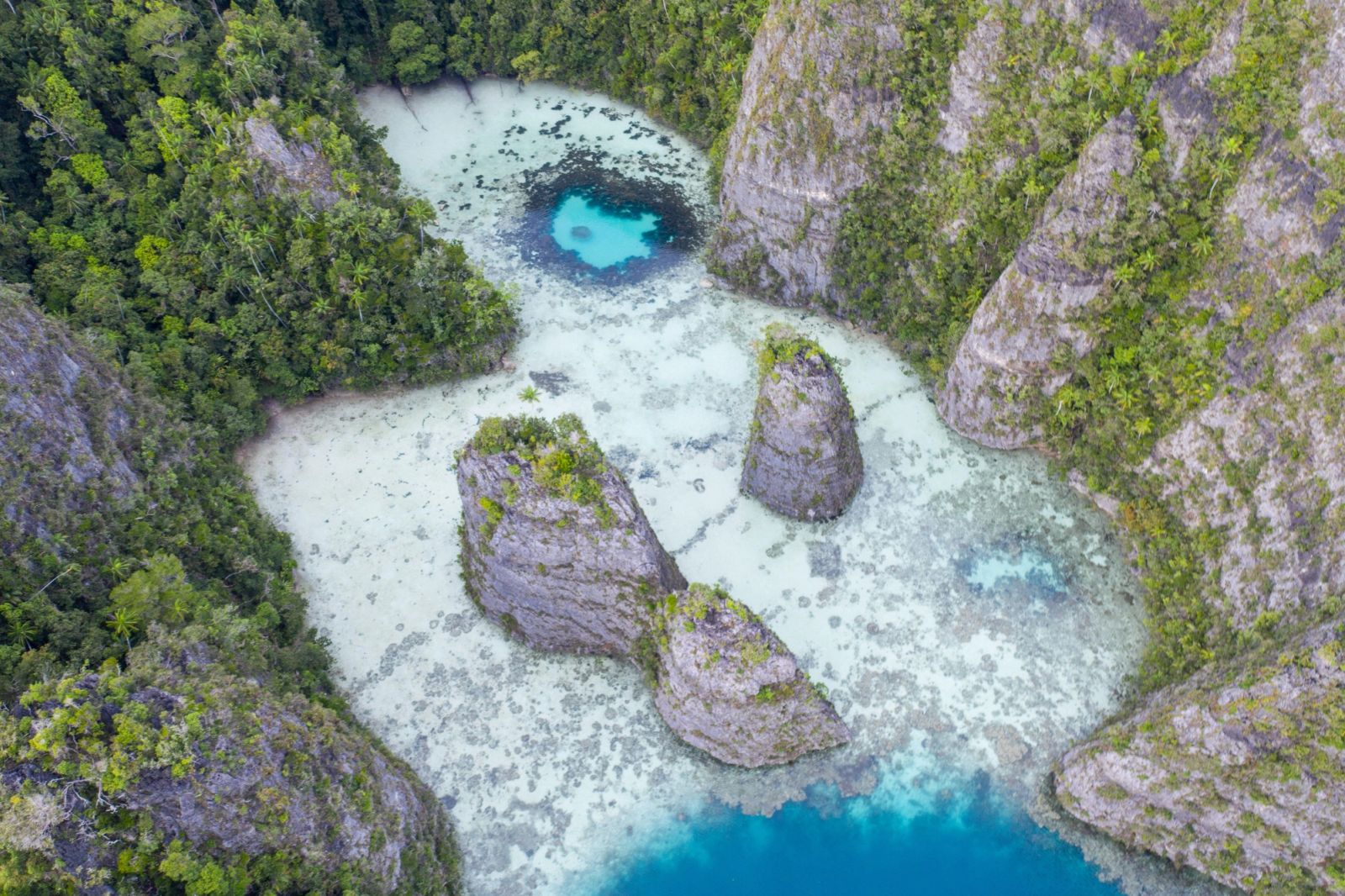 The Discovery of Raja Ampat