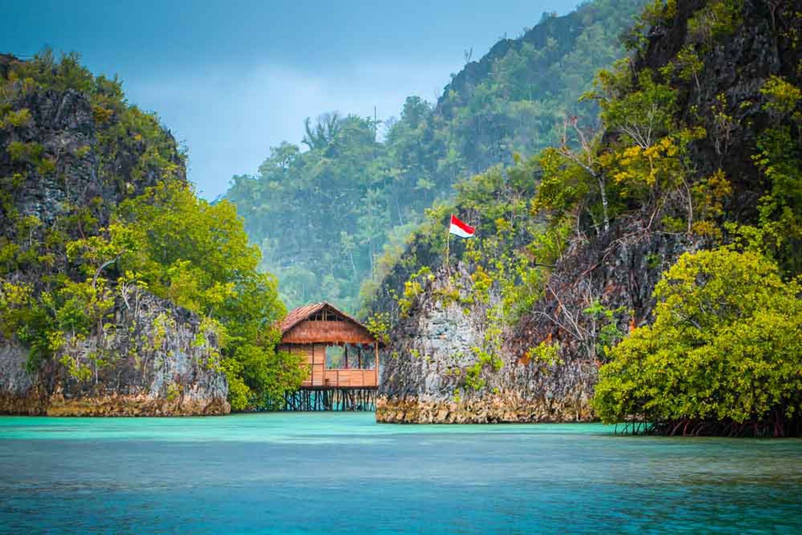 Aljui Bay, Penemu