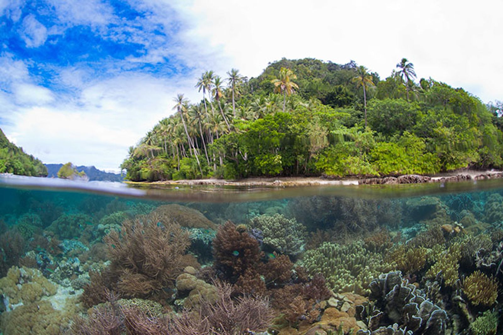Tomia Island