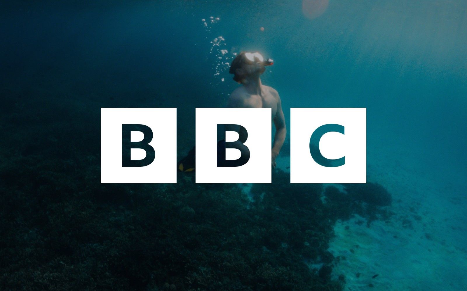 Six of the World's Most Extraordinary Places to Dive