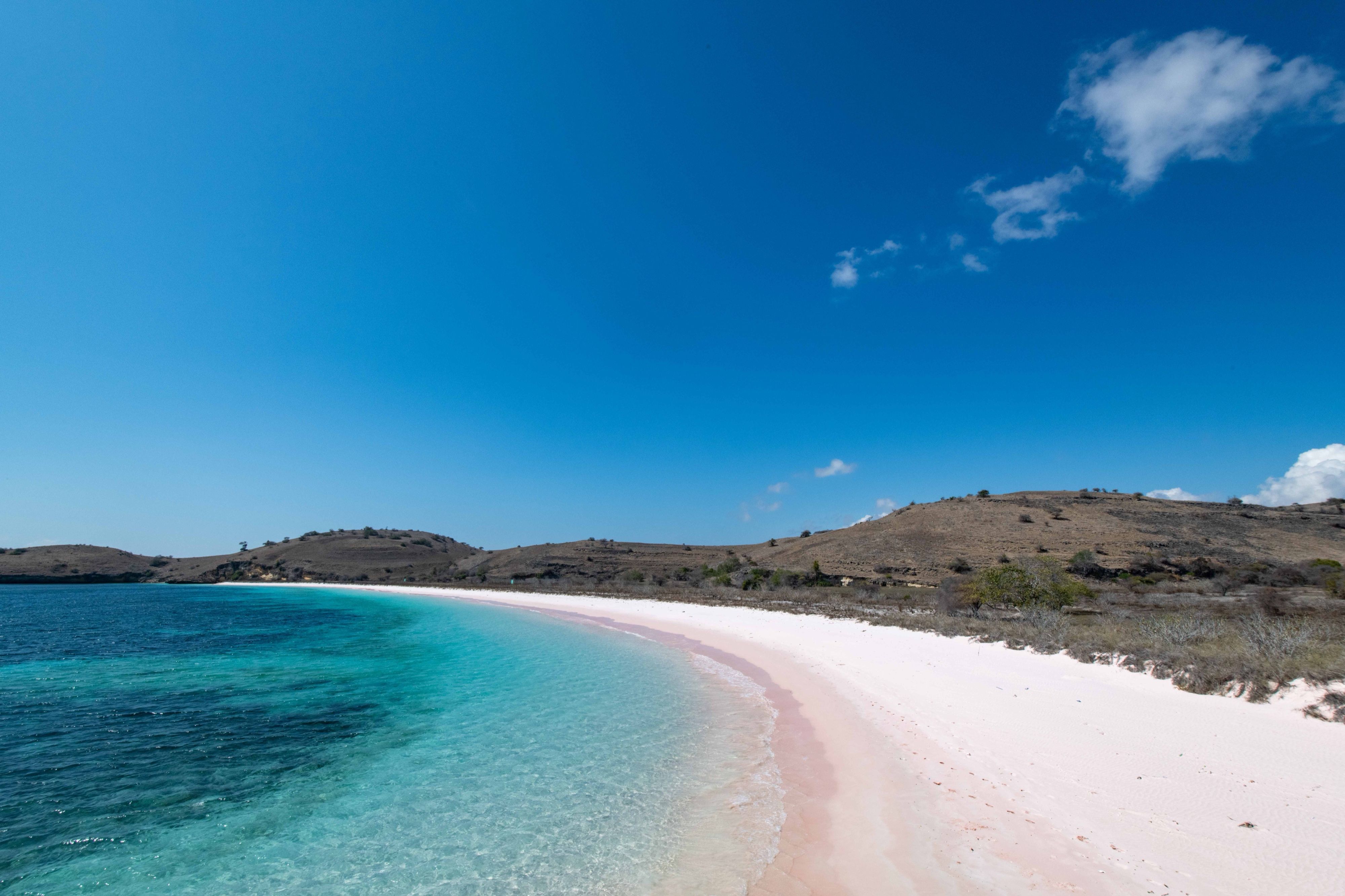 Best Time to Charter