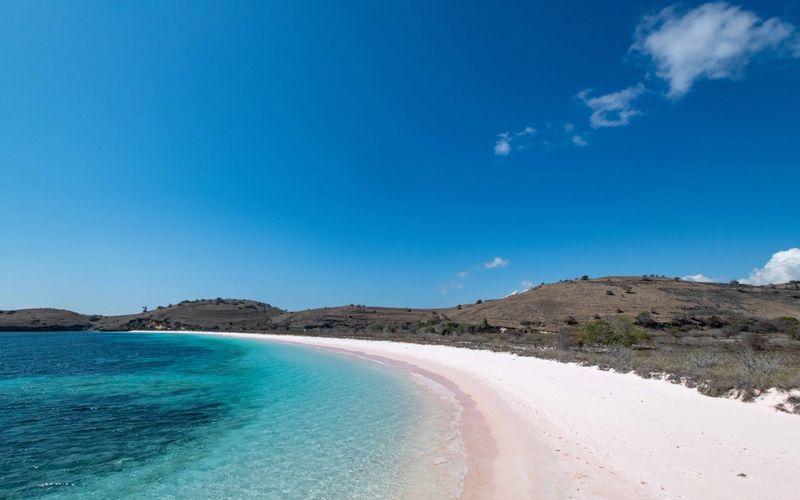 Best Time to Charter