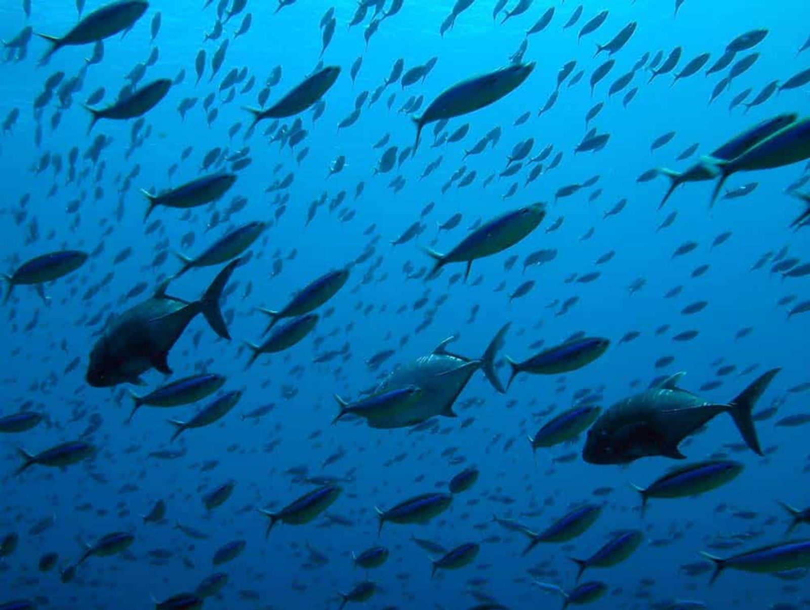 Komodo National Park, North