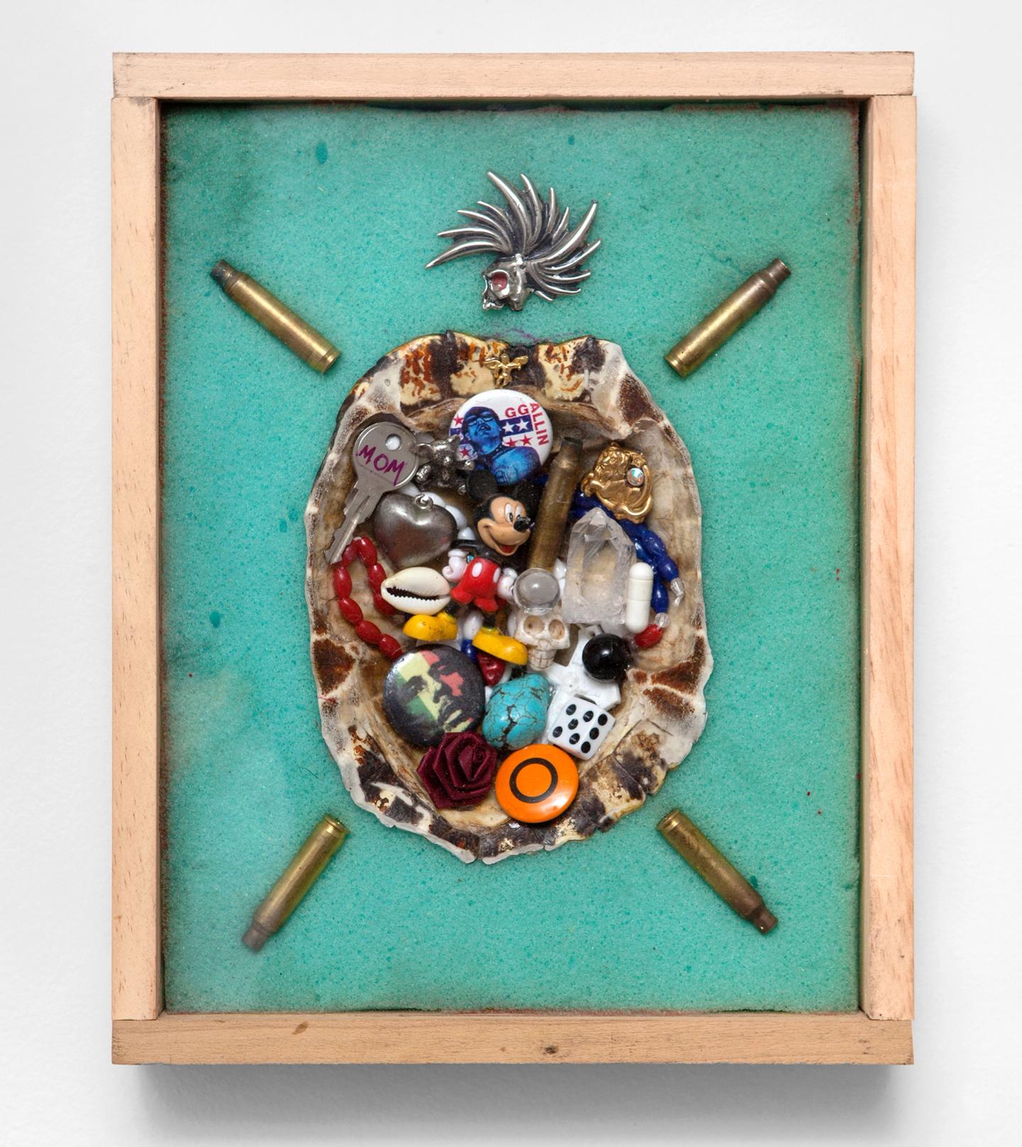 Turtle Shell Protection, 2022