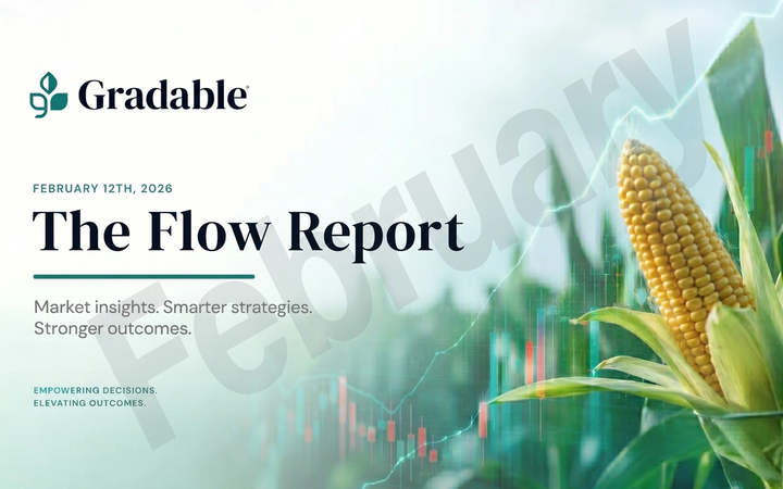 Corn field overlayed with marketing chart