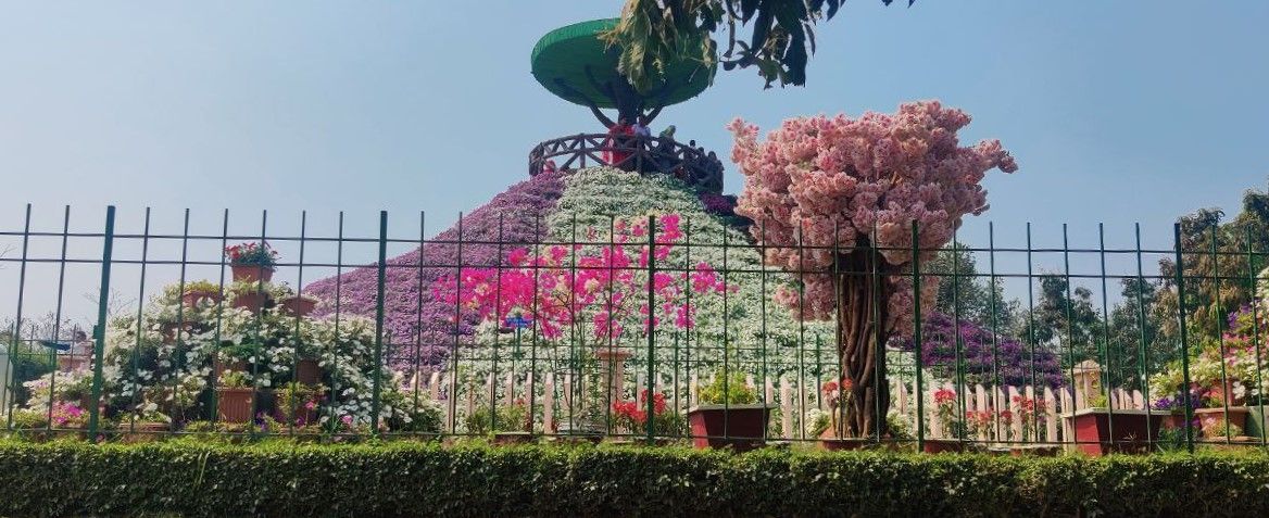 Green Valley Park Ltd at Lalpur, Natore – photo 8 of 11