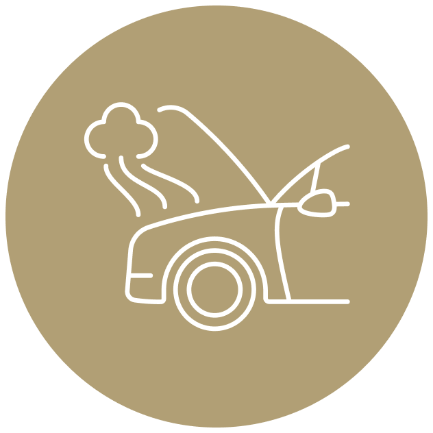 About Icon