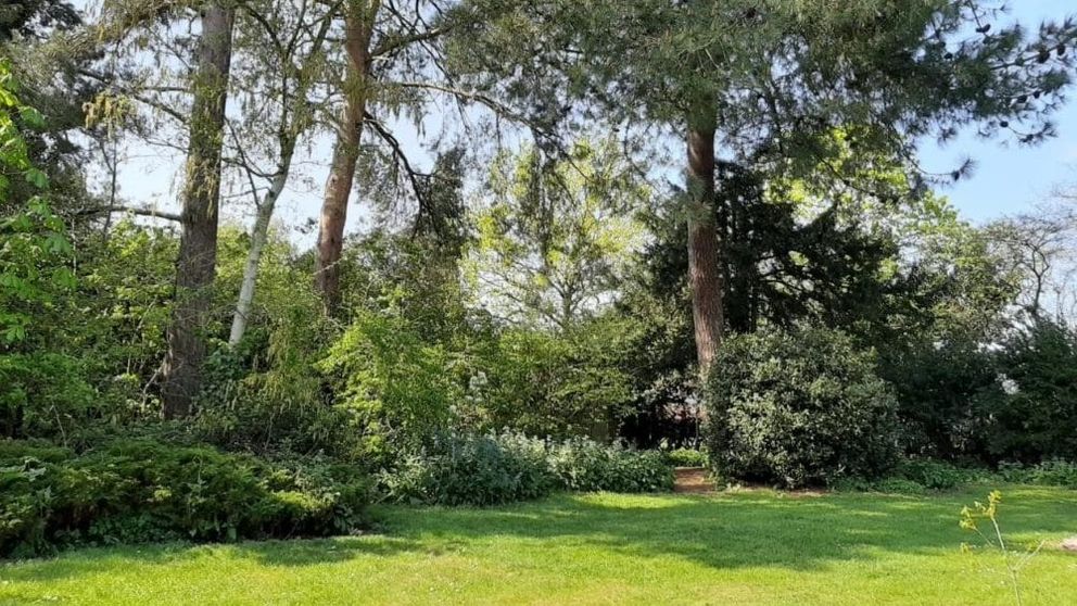 gras-and-trees-JG-aspect-ratio-16-9-1000x562