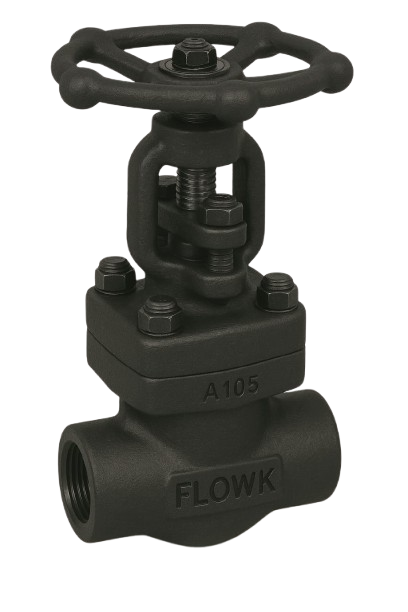 Forged Steel Globe Valves