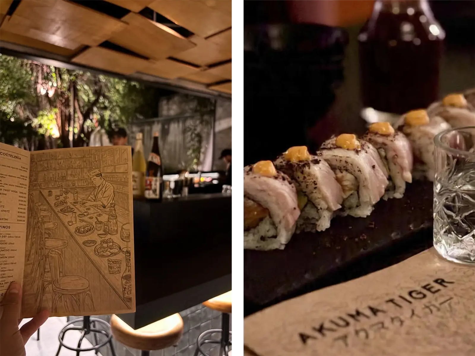 Akuma Tiger, Best Restaurants in Tulum 2026