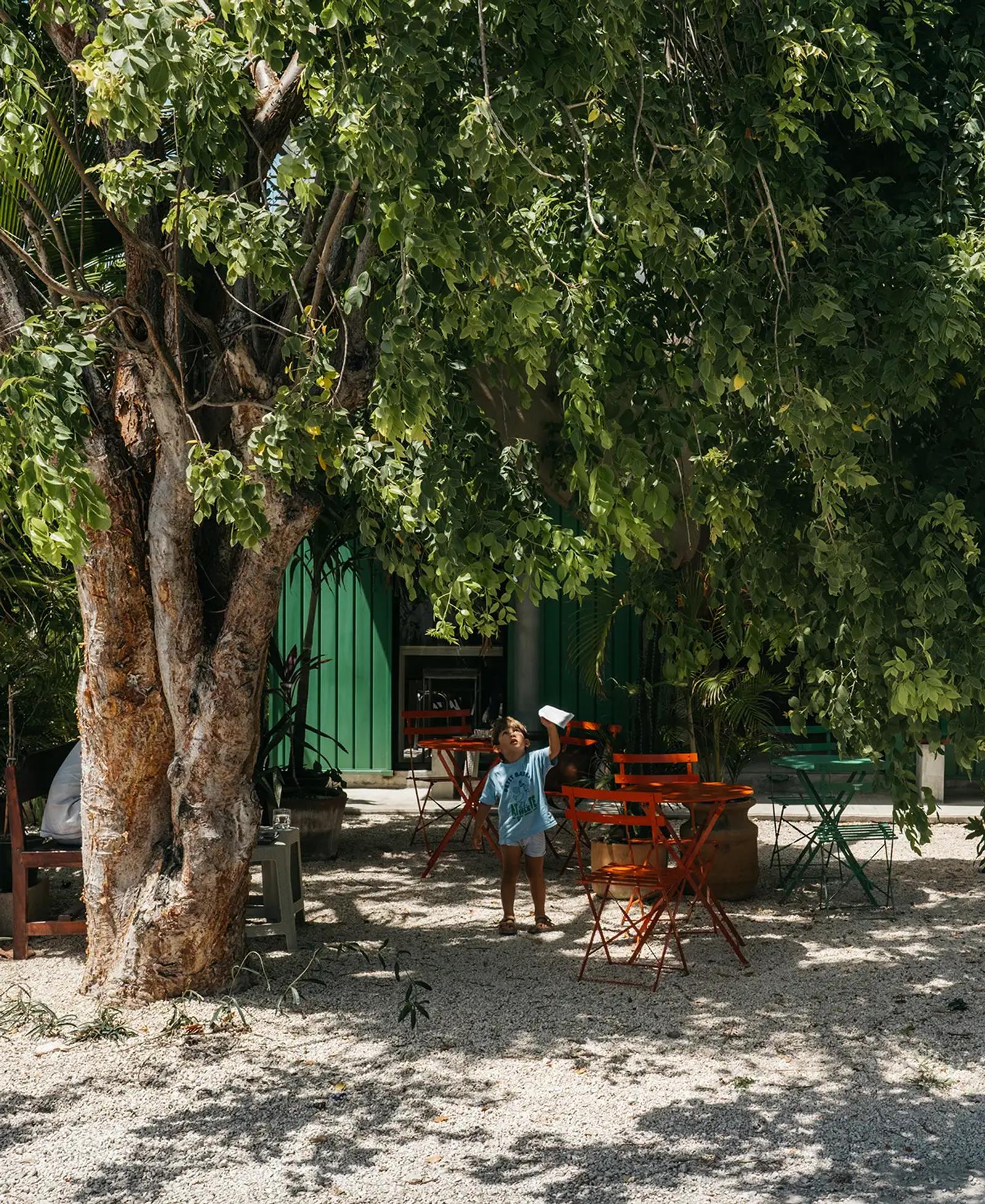Story Horse Tulum
