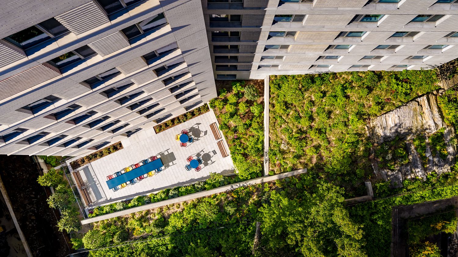 Birds-eye view of the rear garden