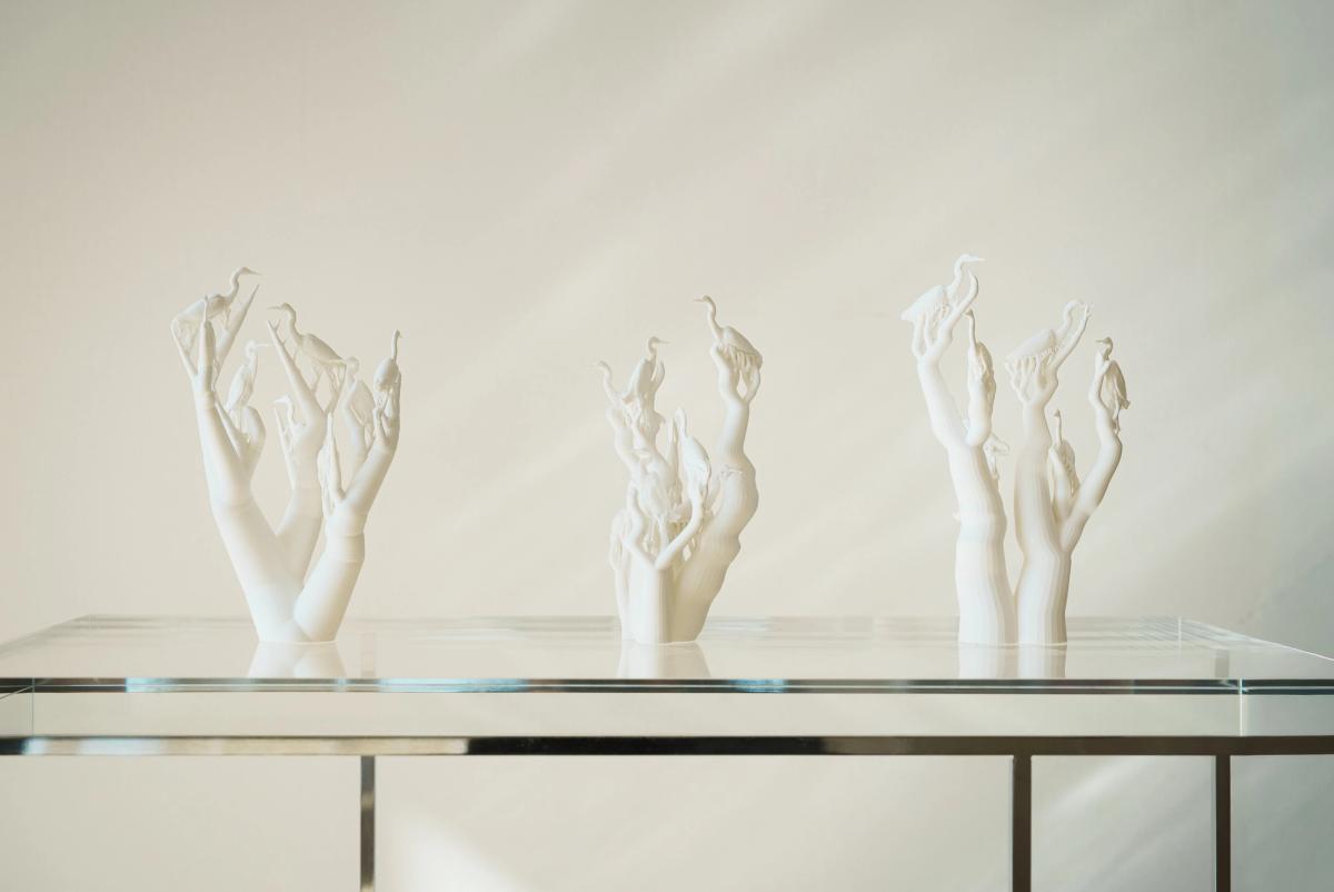 On divides - gallery 23