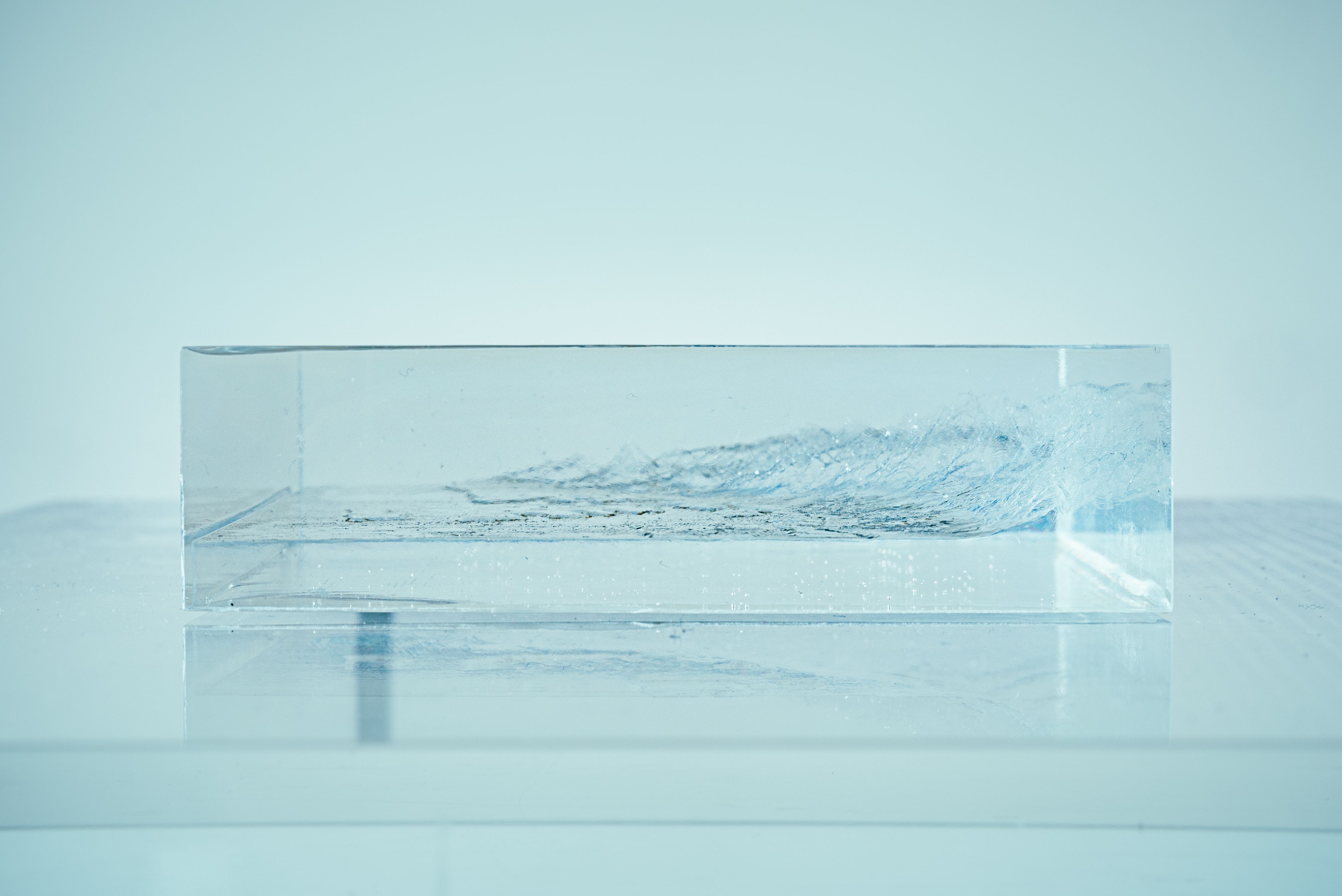 On divides 生成し続けるあわい - gallery 5