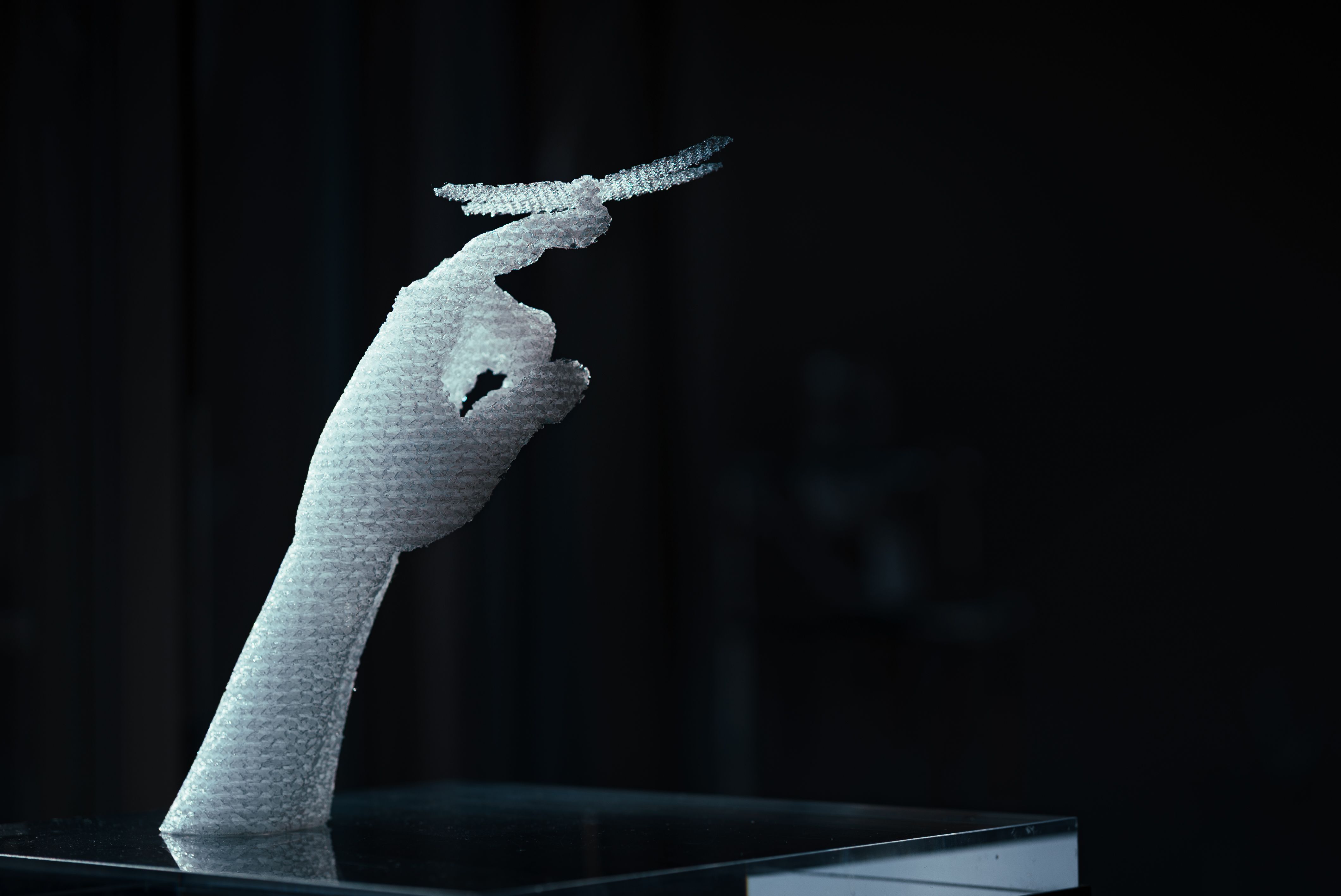 On divides 生成し続けるあわい - gallery 11