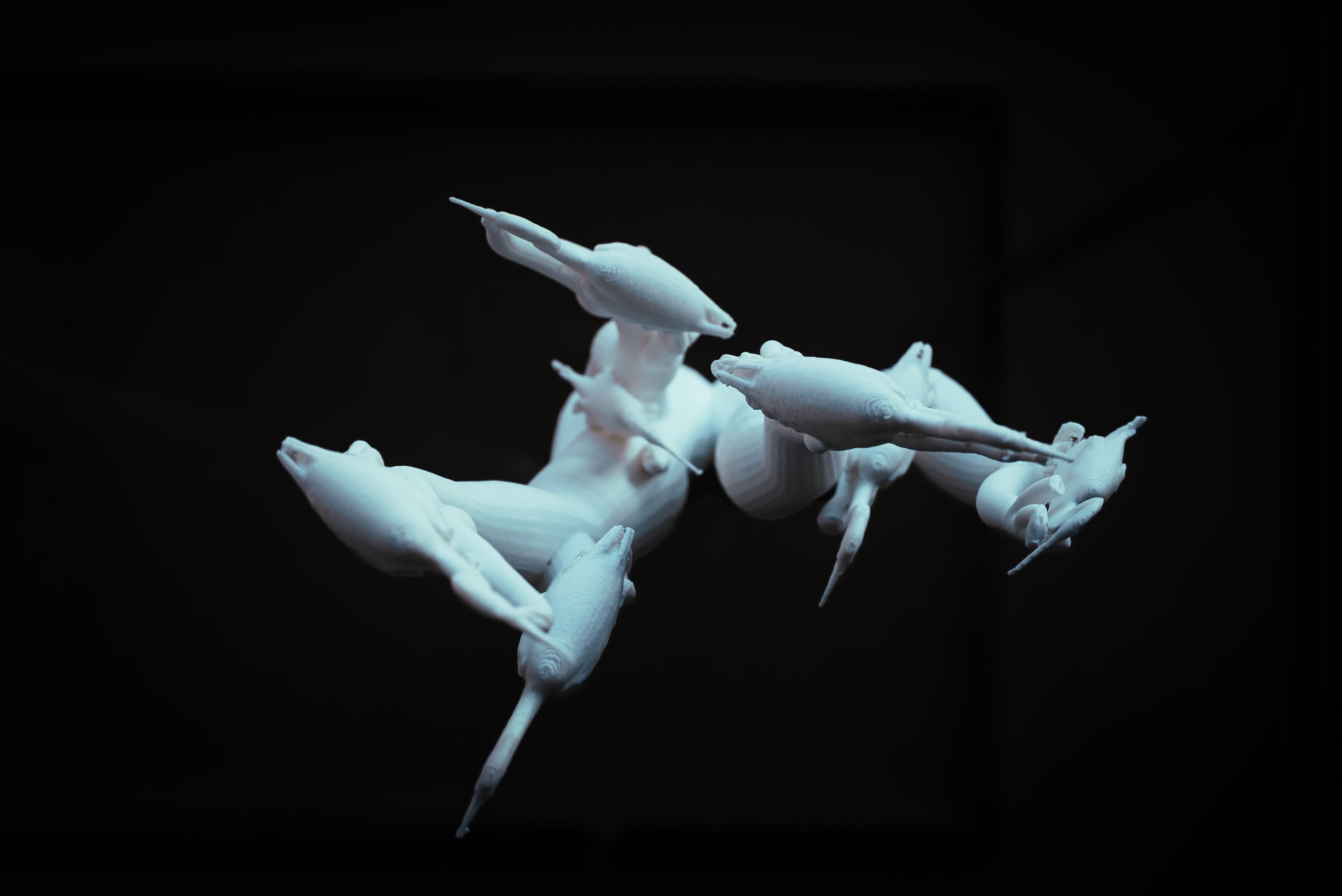 サギのコロニー - 5