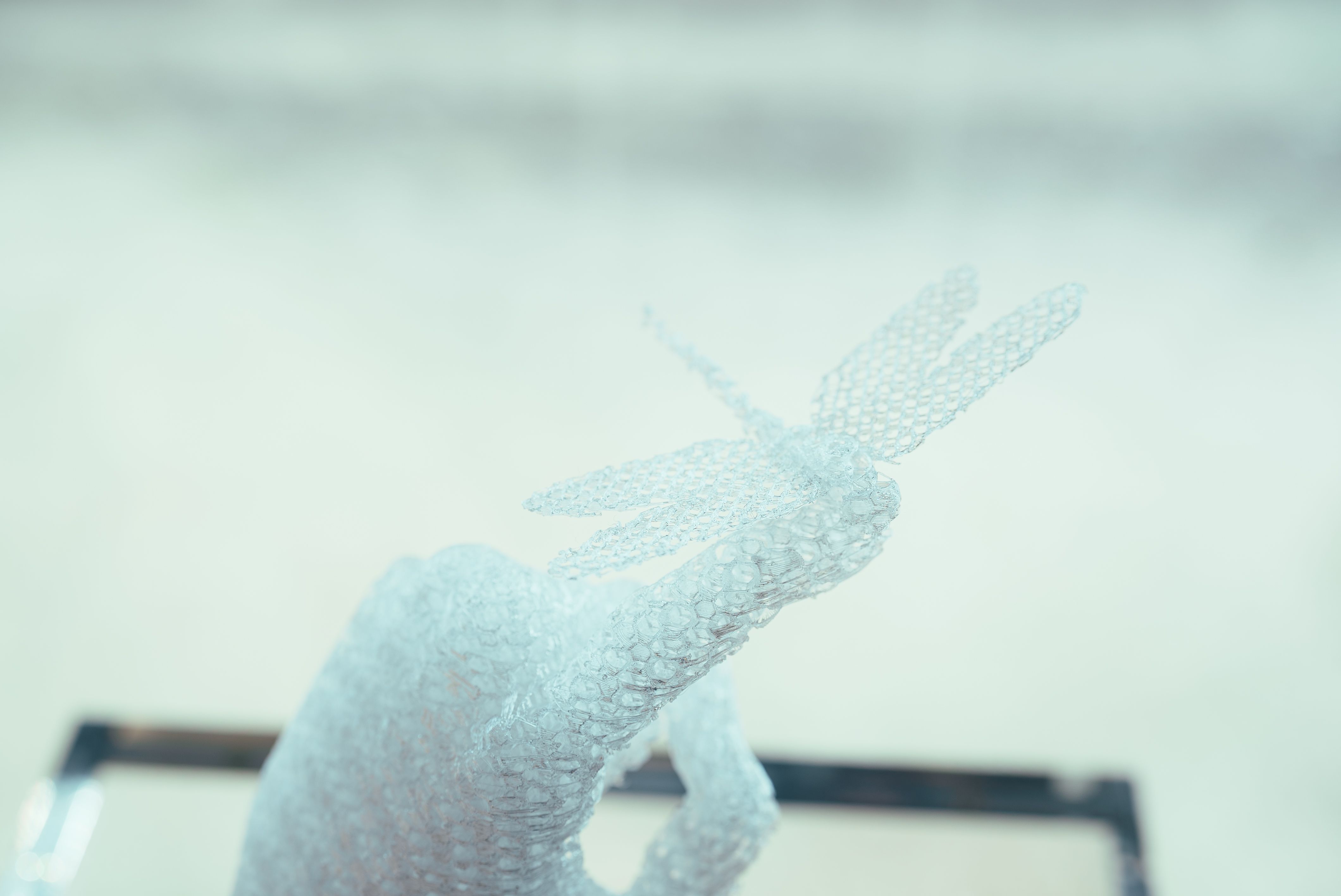 On divides 生成し続けるあわい - gallery 7