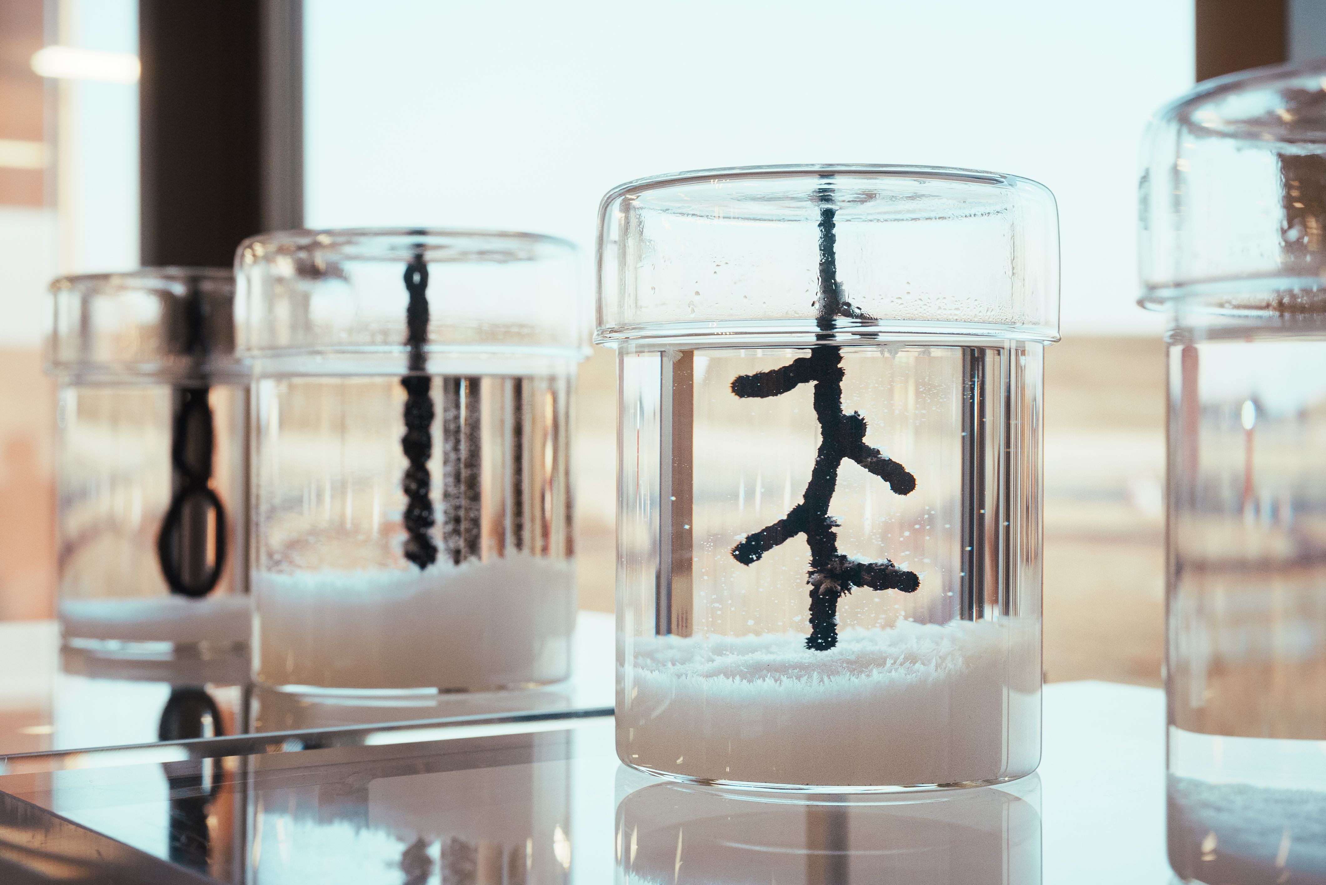 On divides 生成し続けるあわい - gallery 25