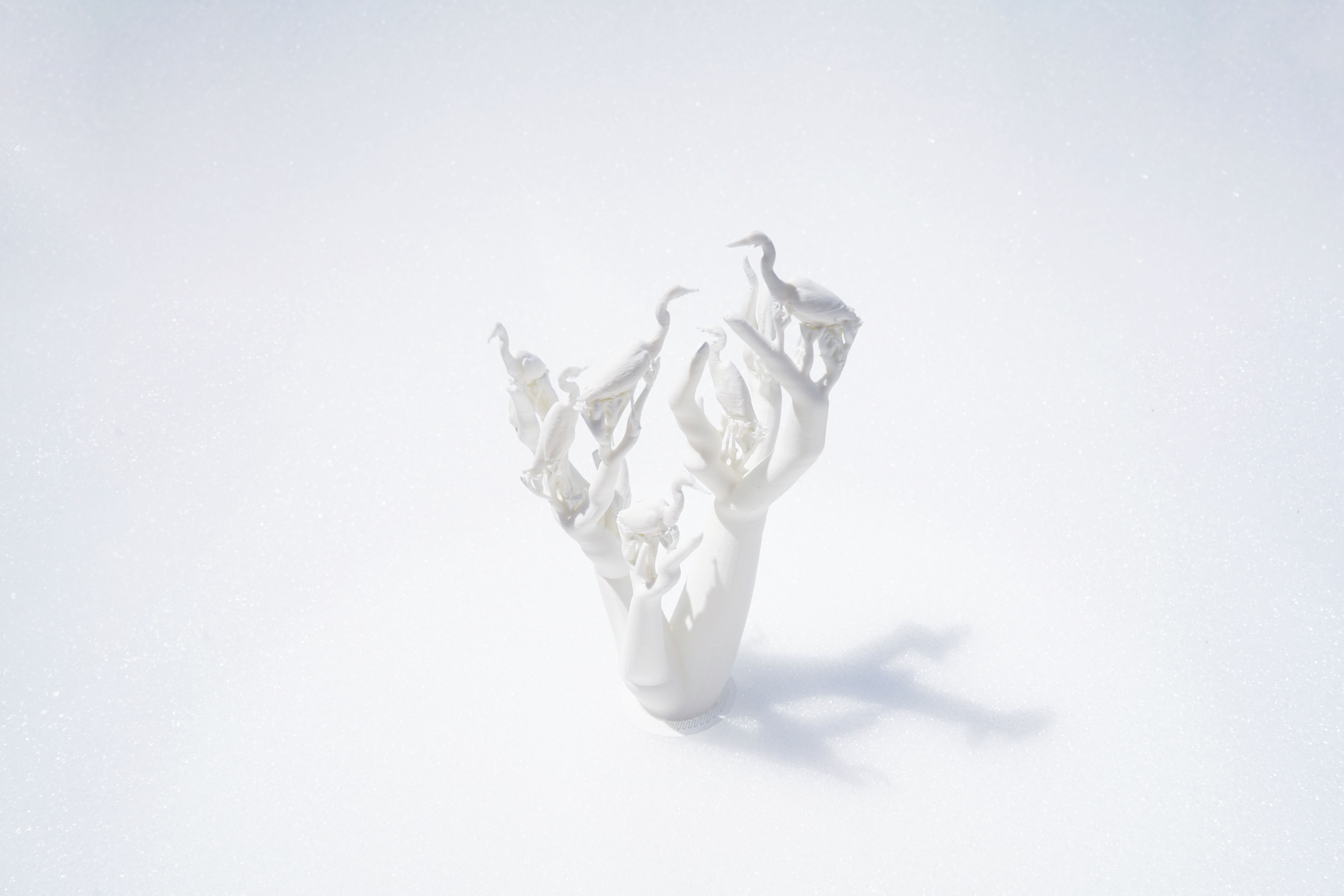 サギのコロニー - 1