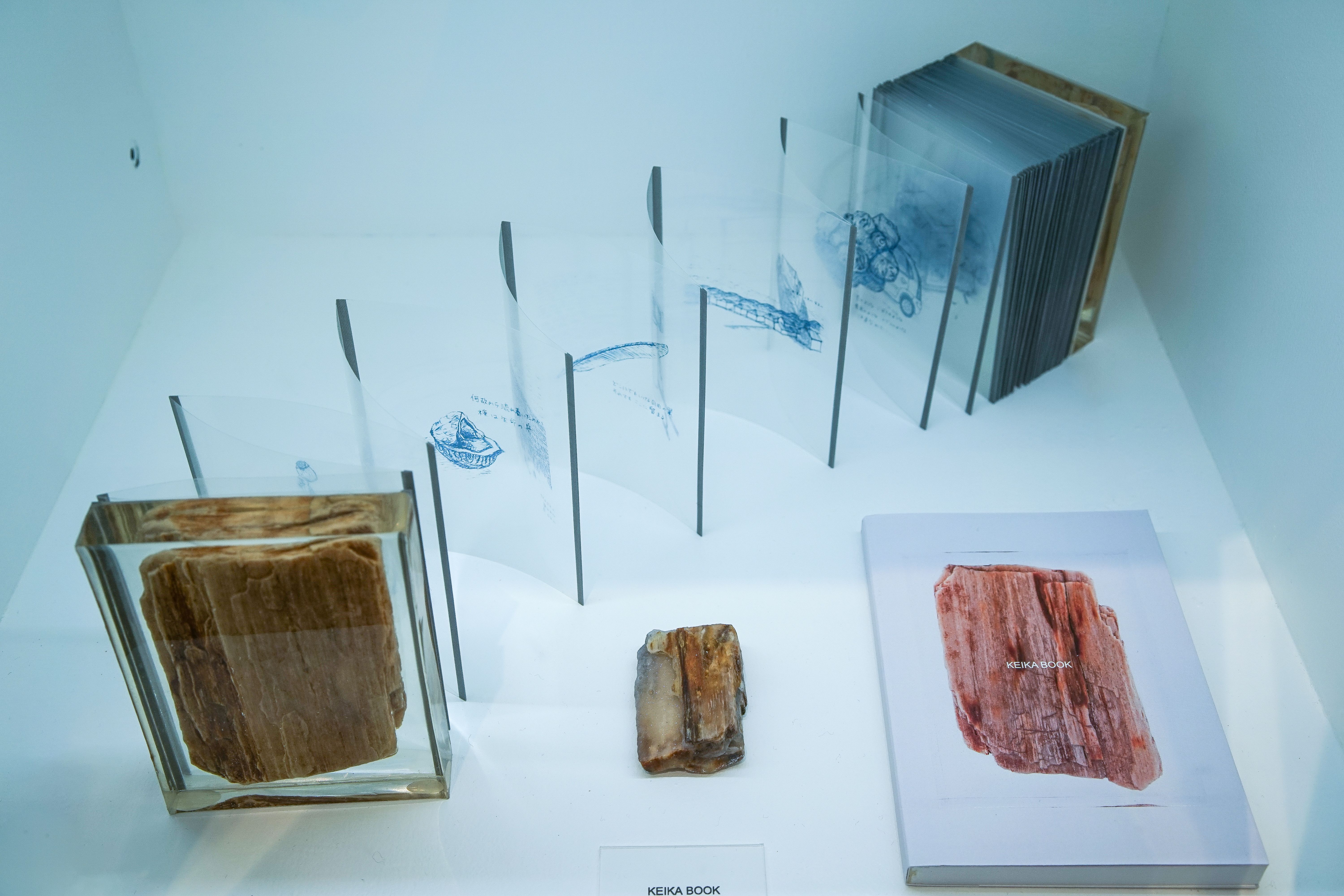 わたりに舟案内所 - 5