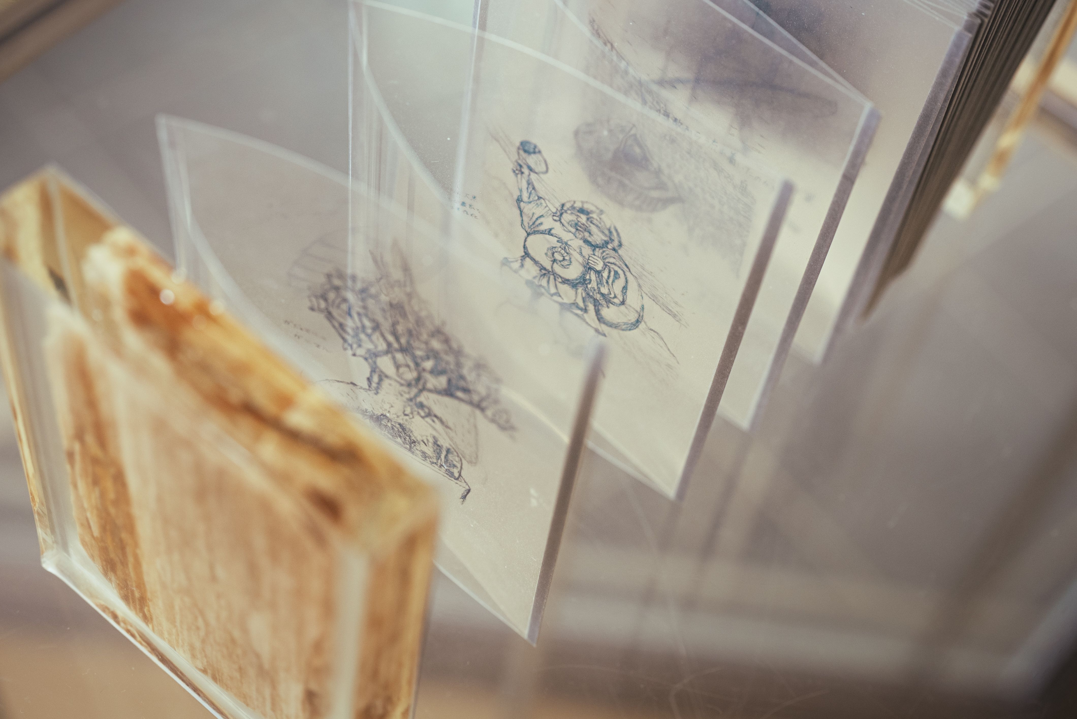 On divides 生成し続けるあわい - gallery 19