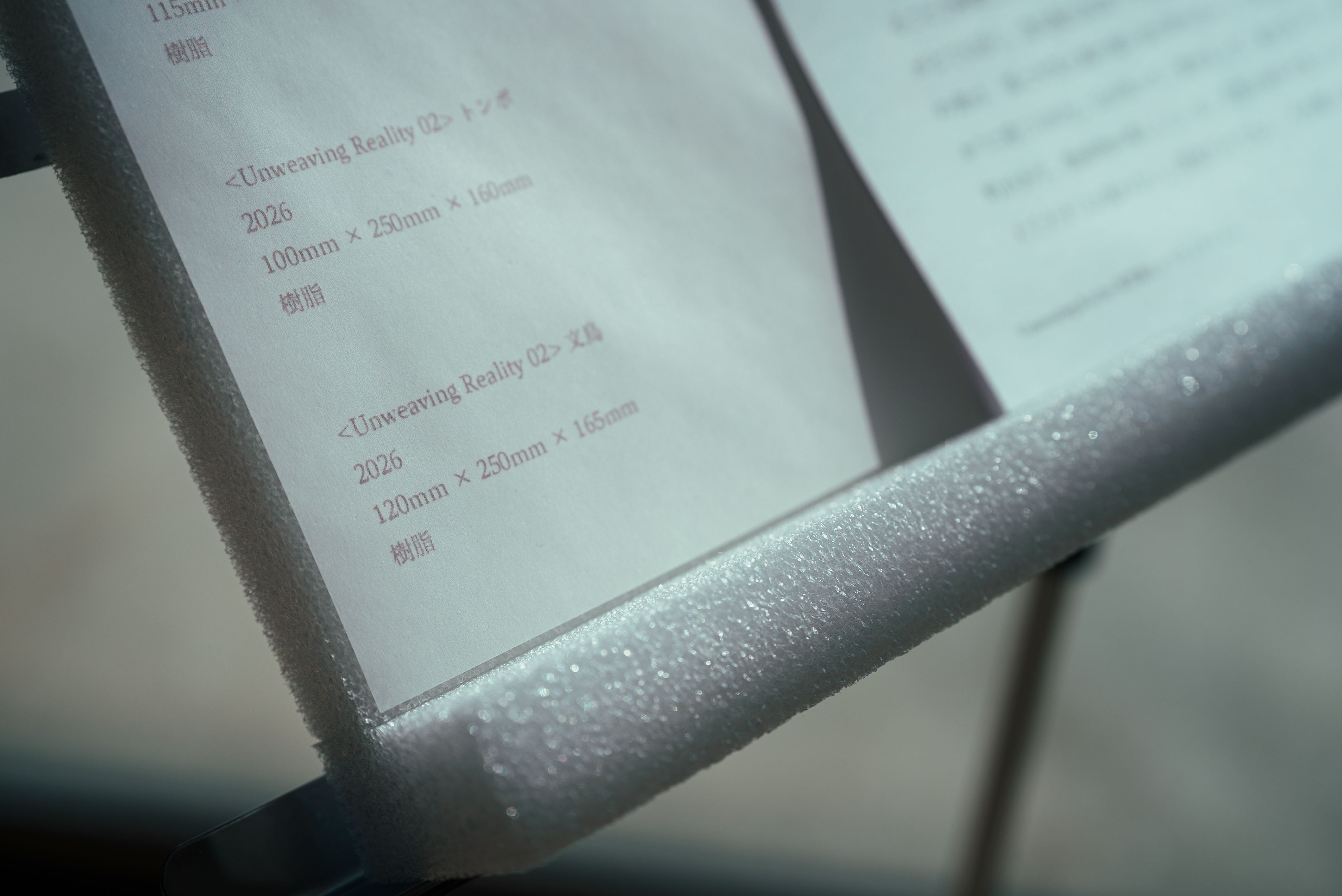 On divides 生成し続けるあわい - gallery 6