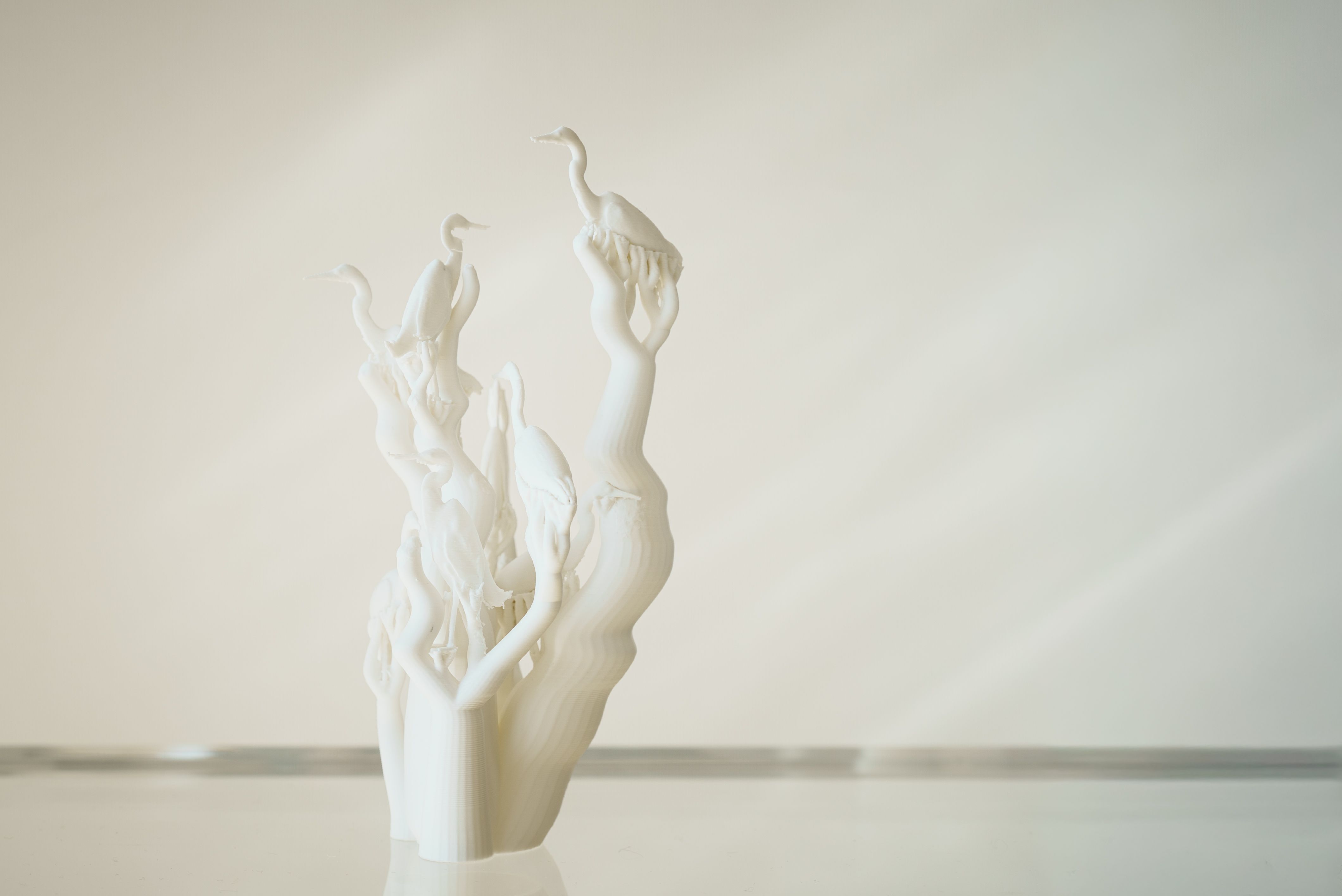 On divides 生成し続けるあわい - gallery 24