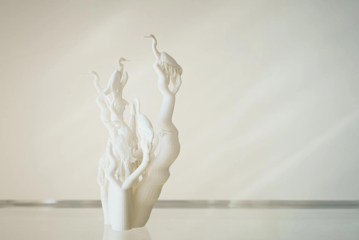 On divides - gallery 24