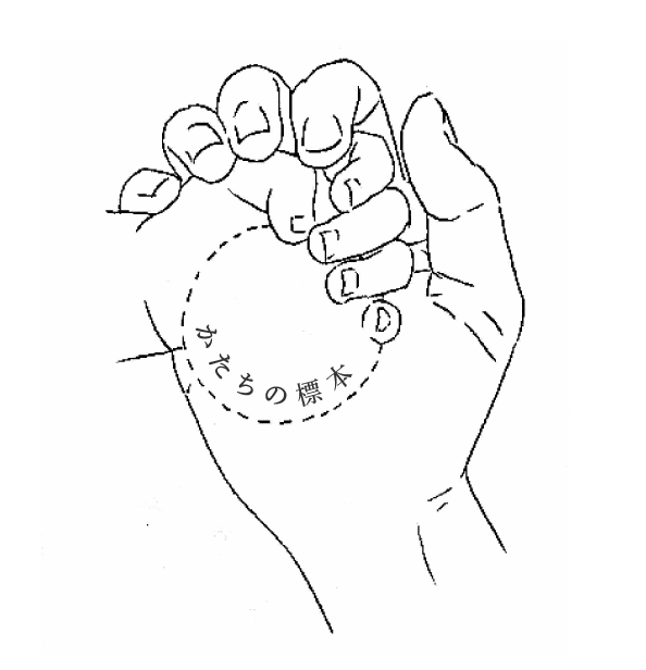 かたちの標本 - 1