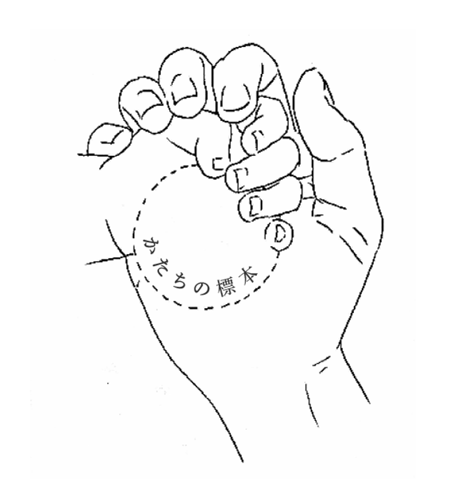 Specimen of Shapes - 1