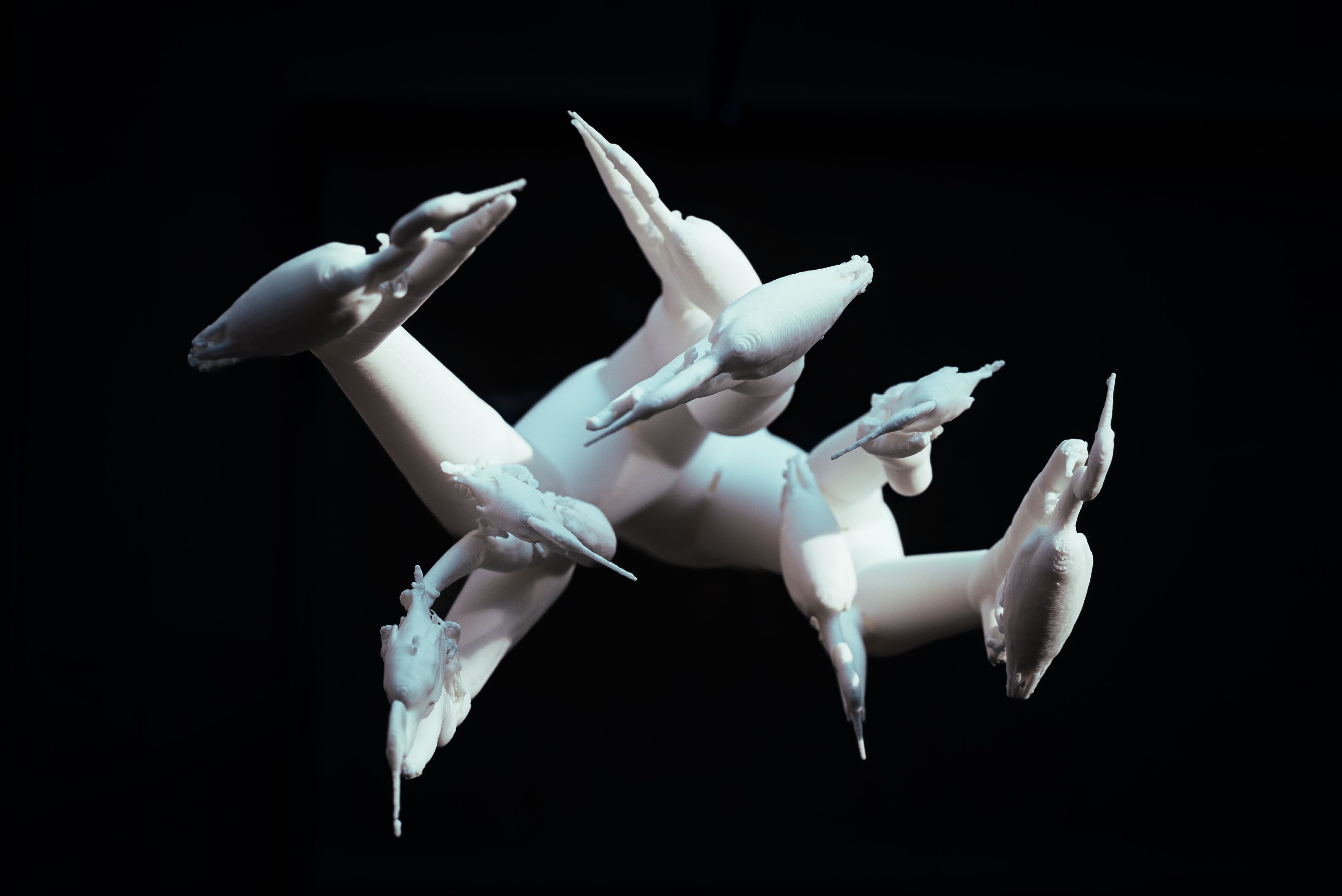 On divides 生成し続けるあわい - gallery 14