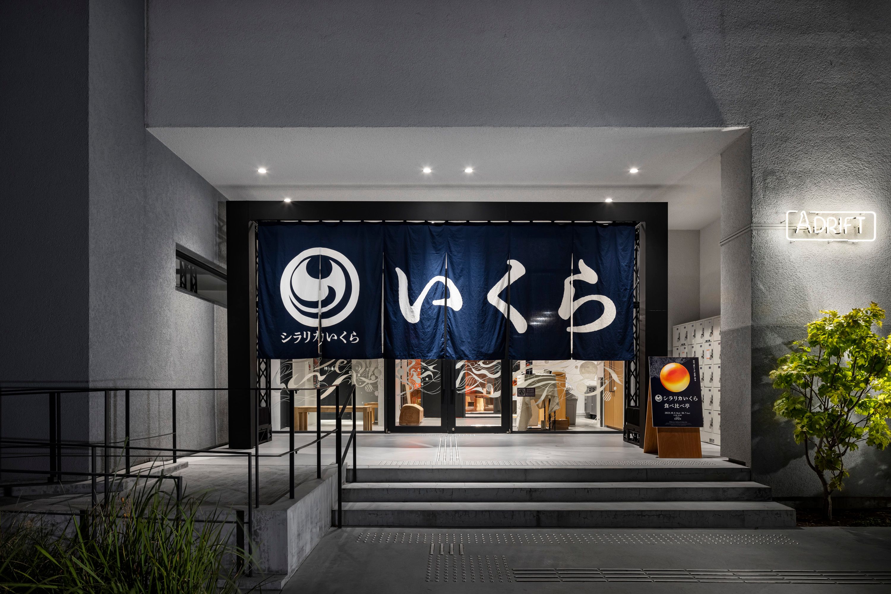 シラリカいくら - 4