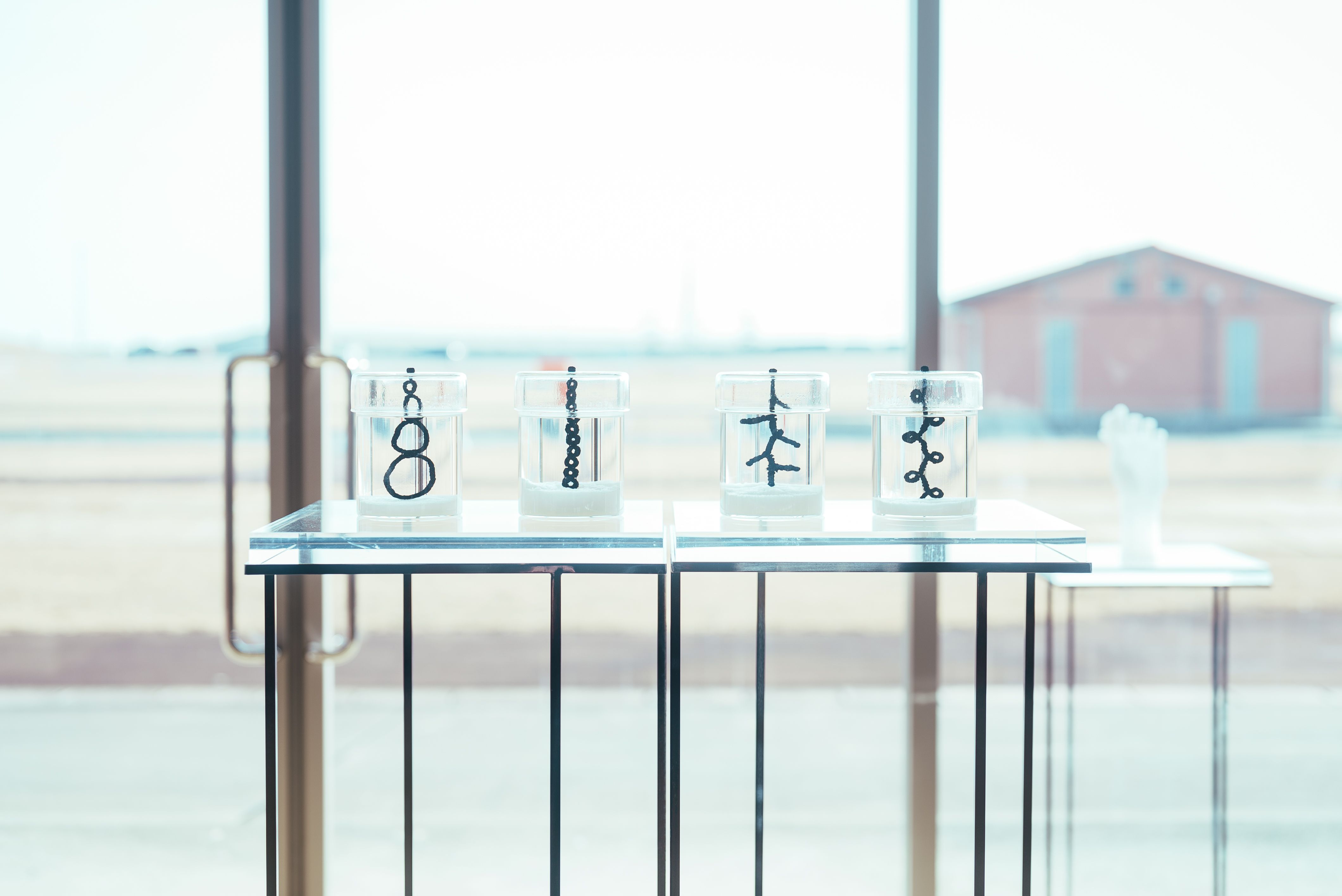 On divides 生成し続けるあわい - gallery 8