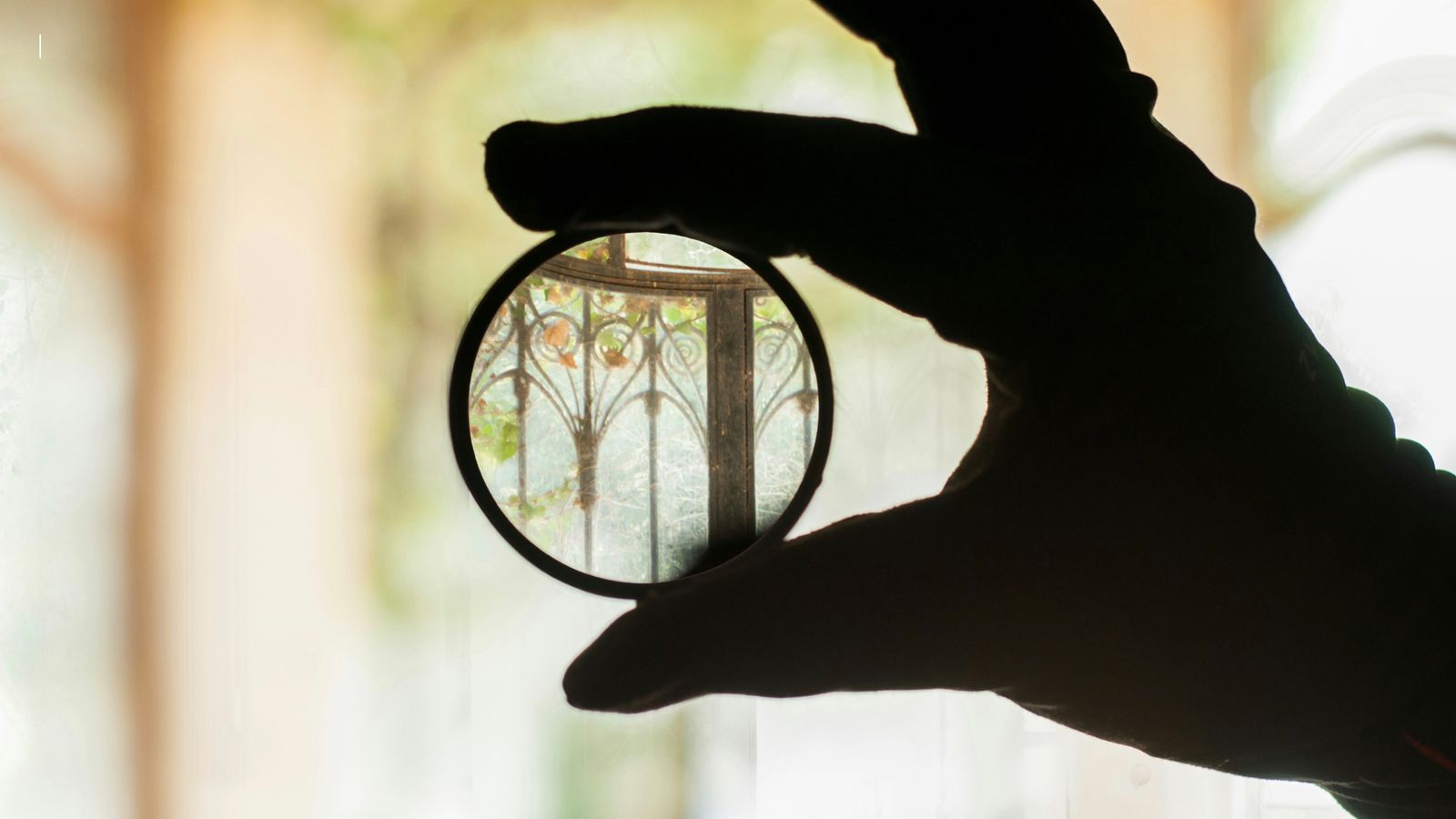 Umwelt Lens - 1
