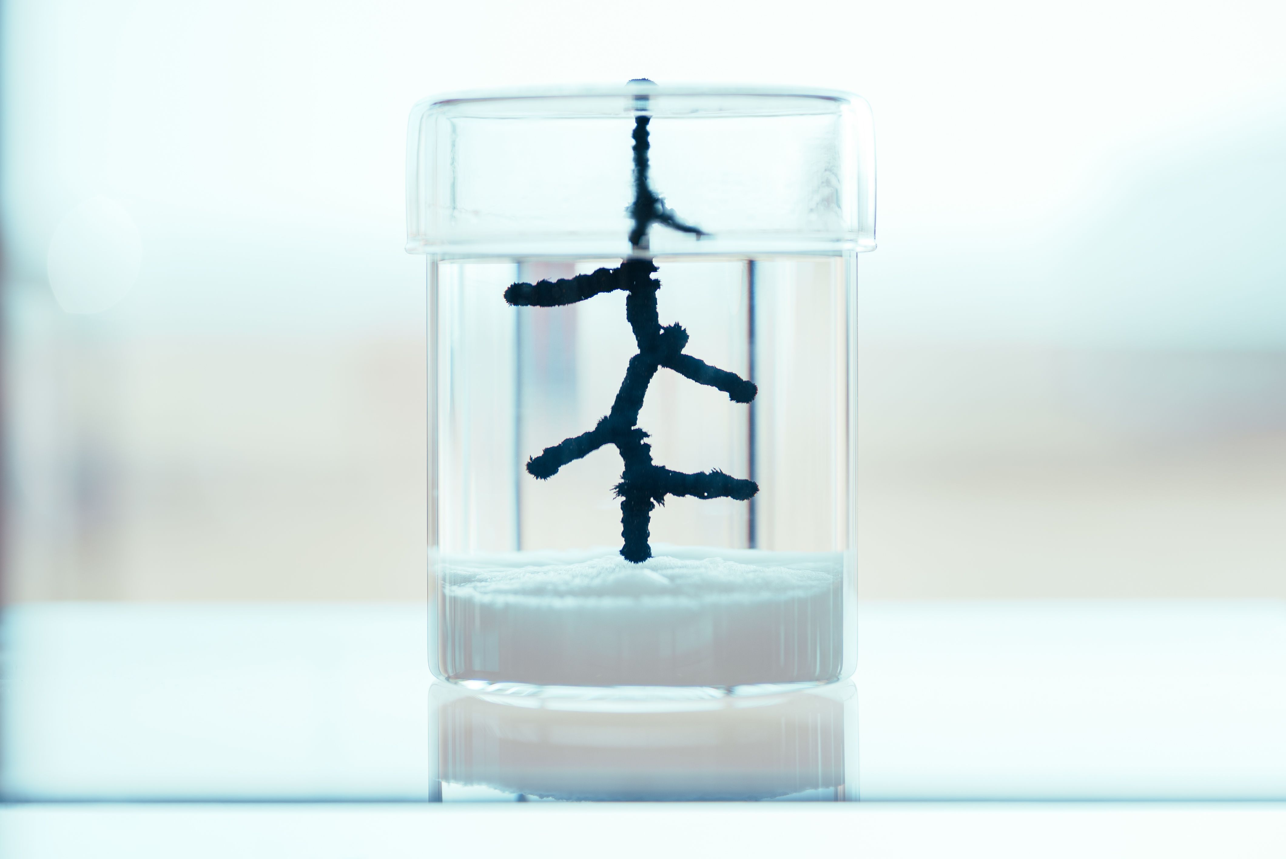 On divides 生成し続けるあわい - gallery 9